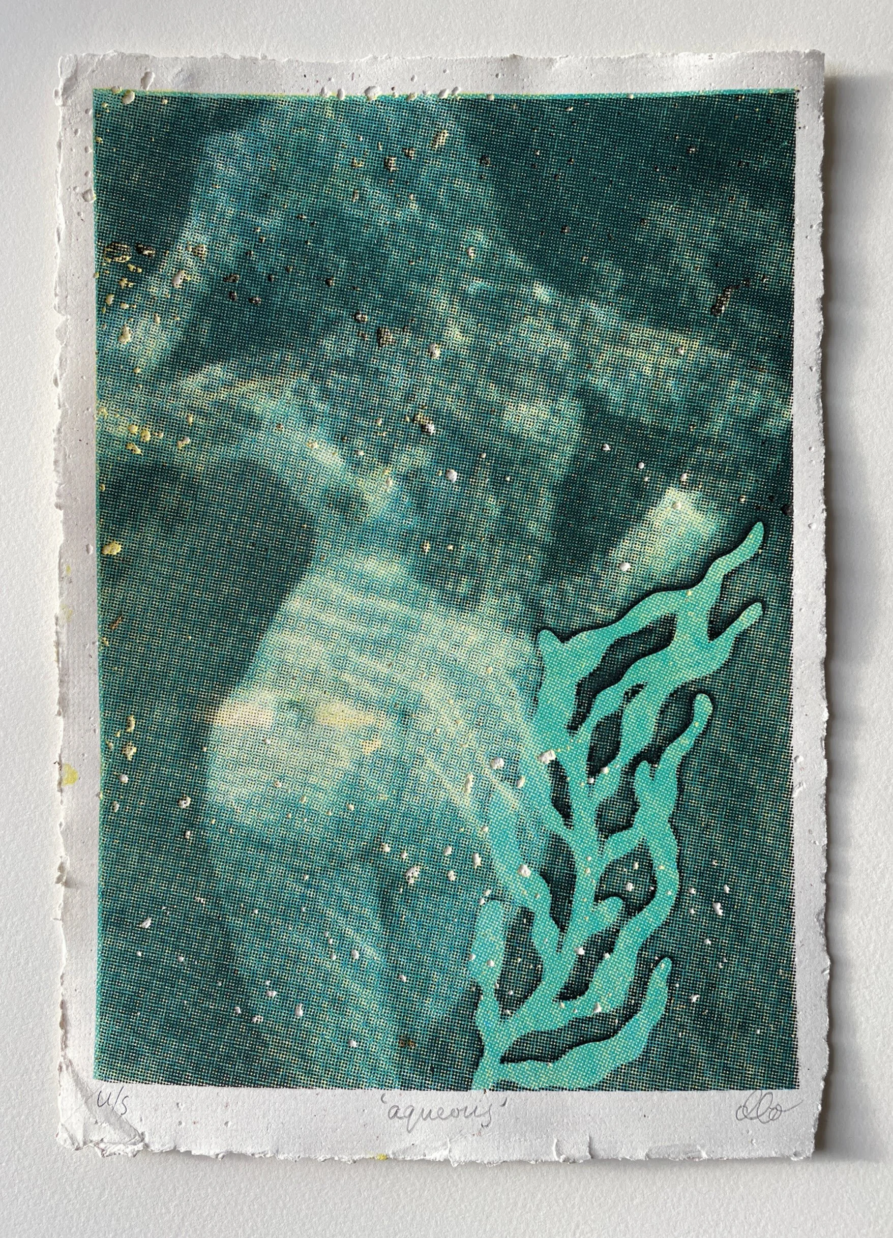 Aqueous 2023, Unique state screenprint on paper handmade by 'Dodgy Paper'