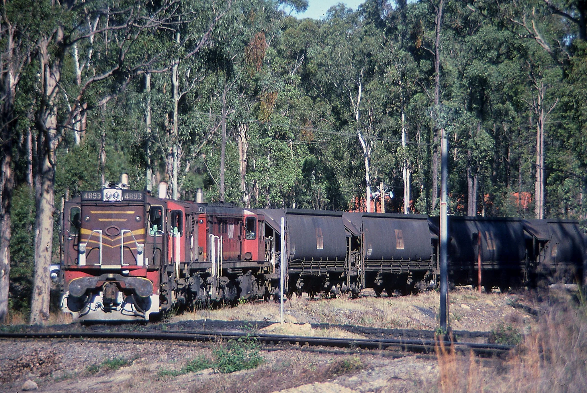 4893 with two other class members loading a Pelton coal train. July 1986.