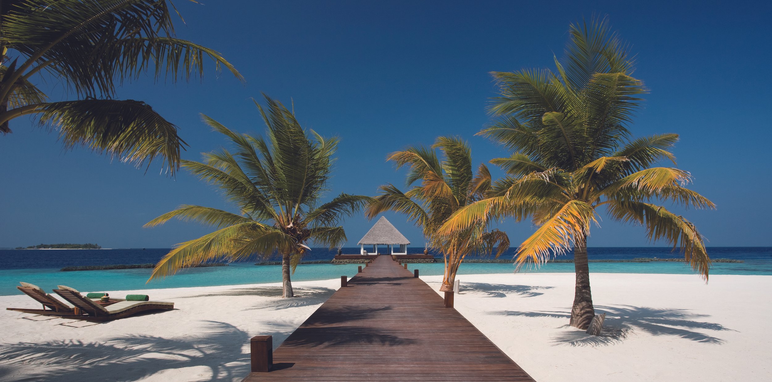 Just Beach Campaign