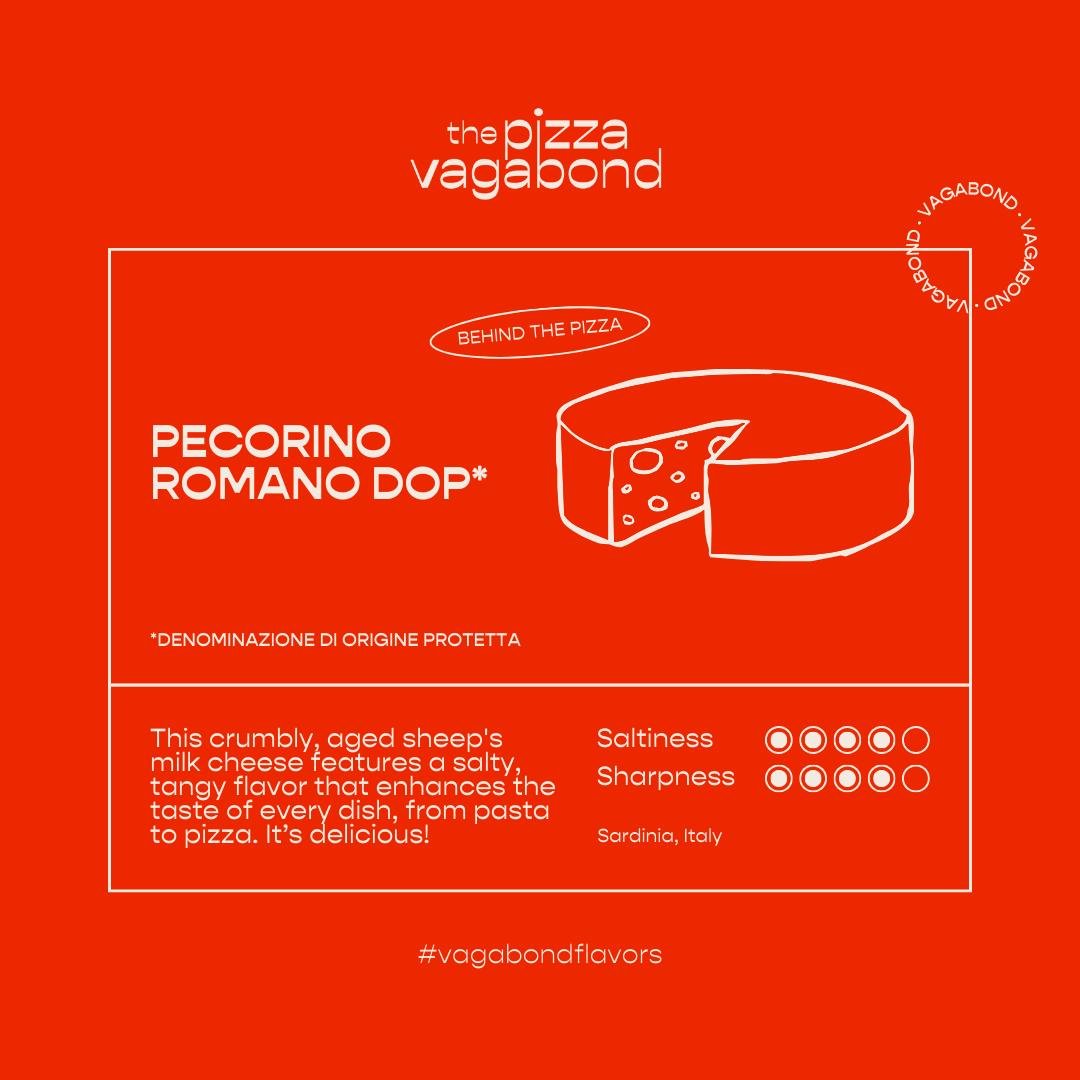 Discover the final touch that turns our special of the month from good to unforgettable with the legendary Pecorino Romano DOP sourced from Rome 🇮🇹
.
.
.

#pizzalovers #italia #pizzaiolo #pizzamania #foodies #napoli #pizzaparty #pizzatime #yummy #i