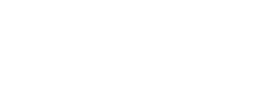 The Pizza Vagabond