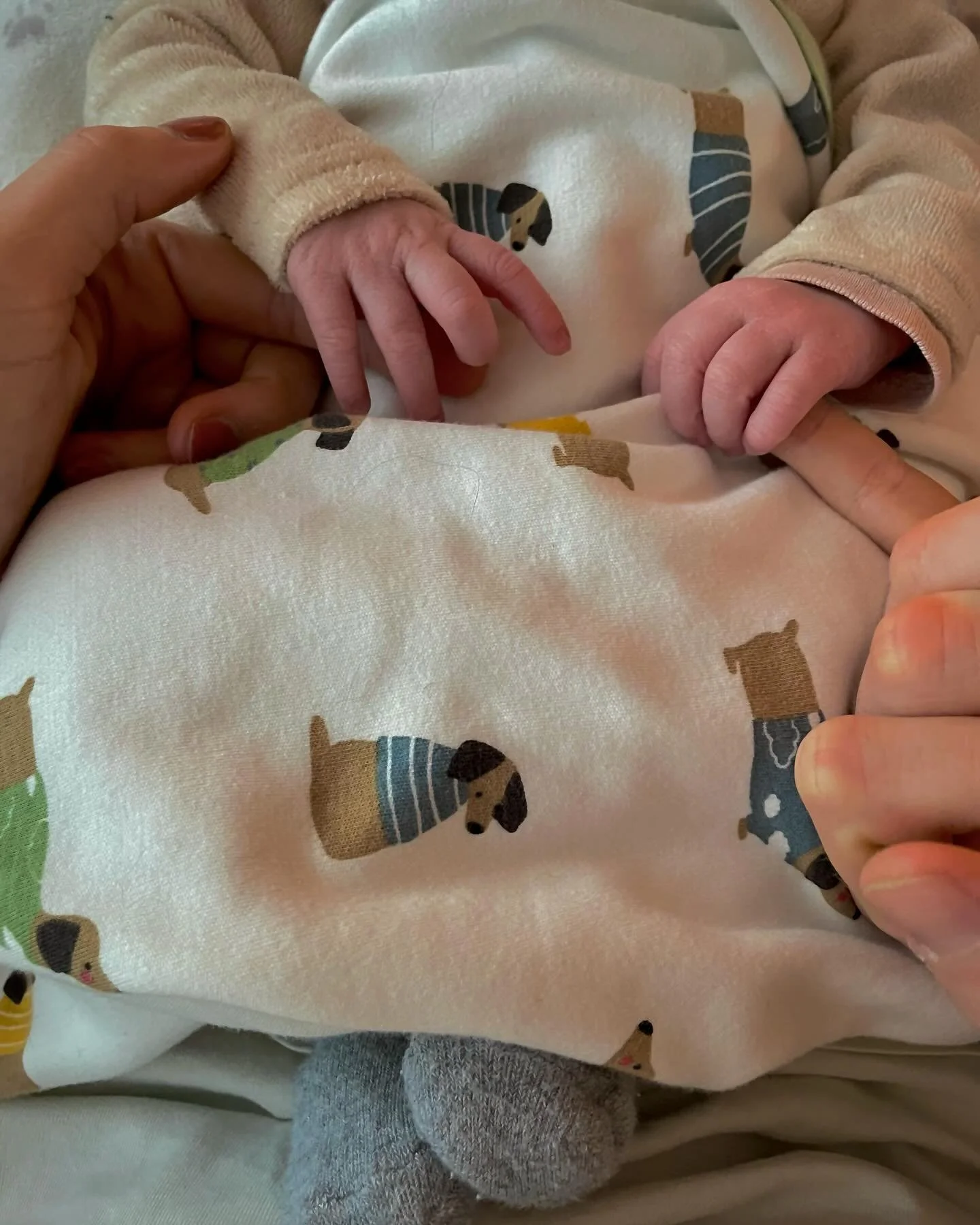 🌸 Frida Scappini Willaert | 08.01.2024 🌼