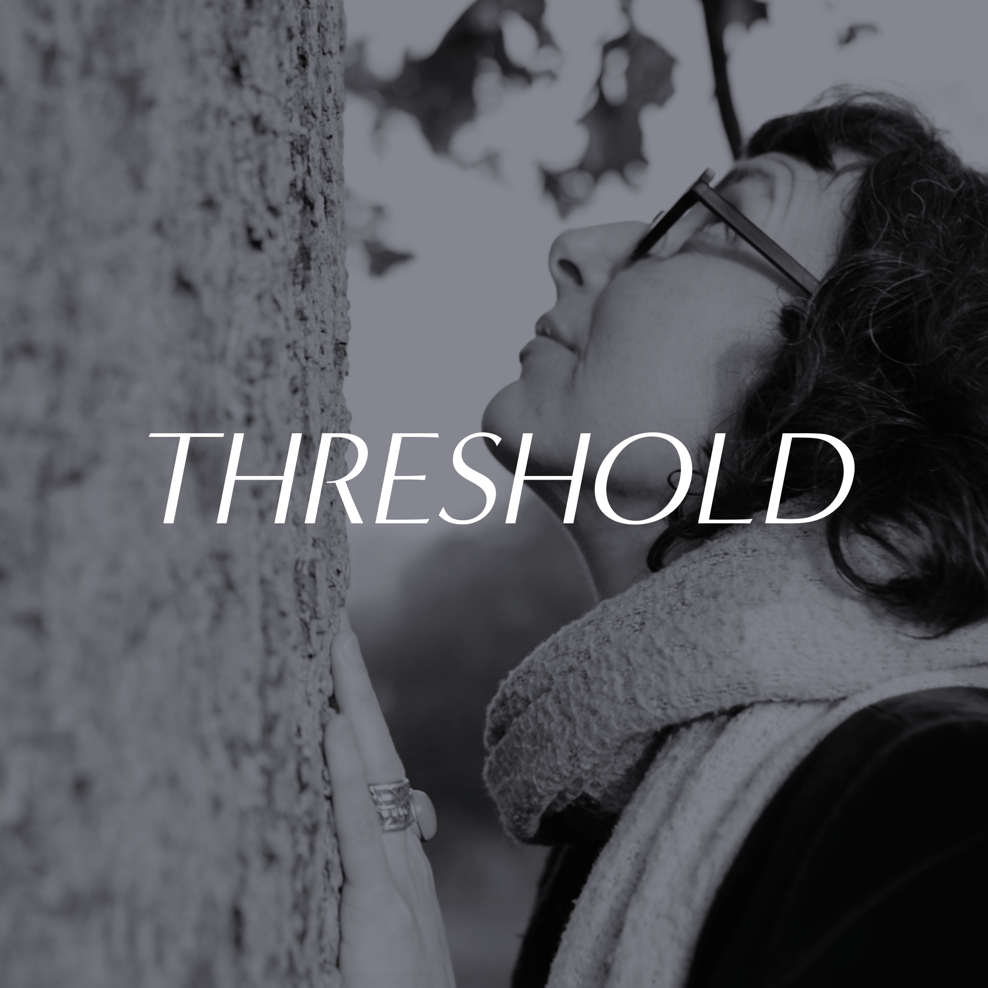 Threshold 1:1 programme