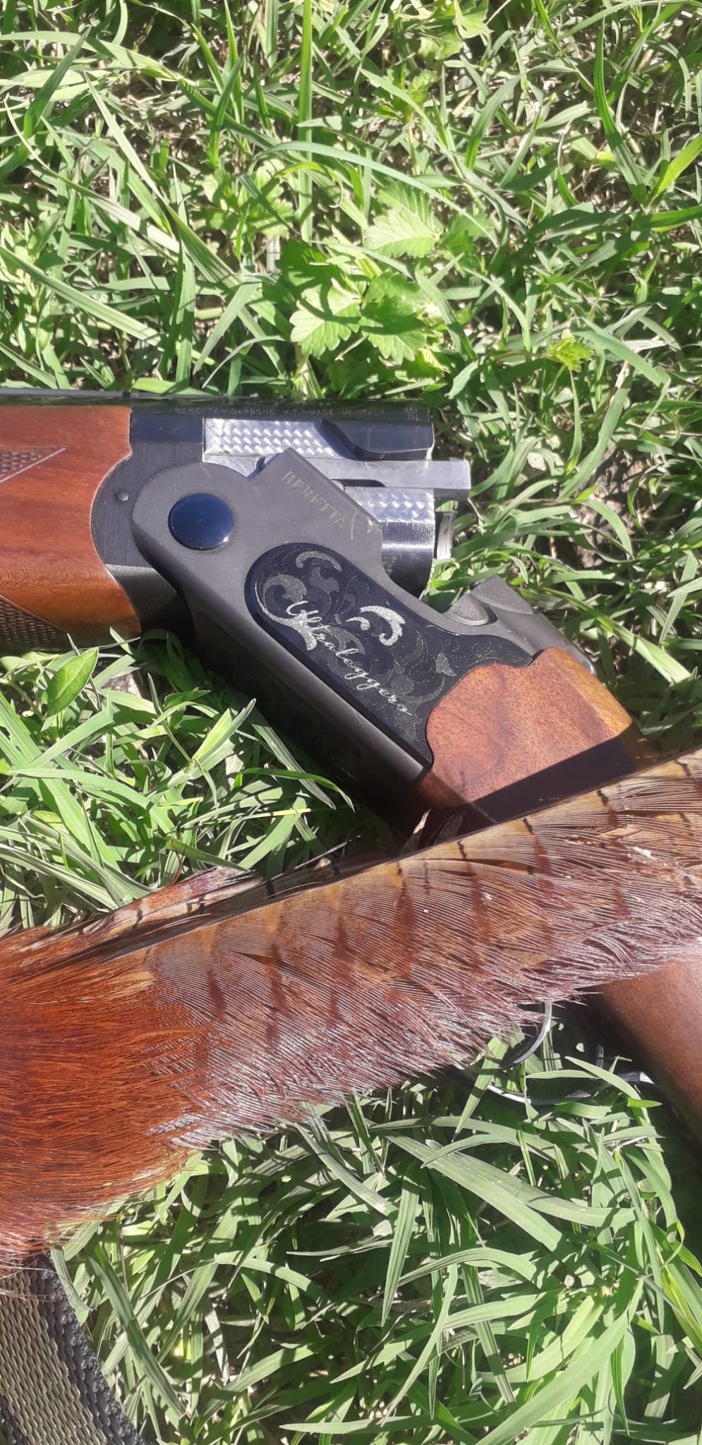 beretta ultraleggero.jpeg