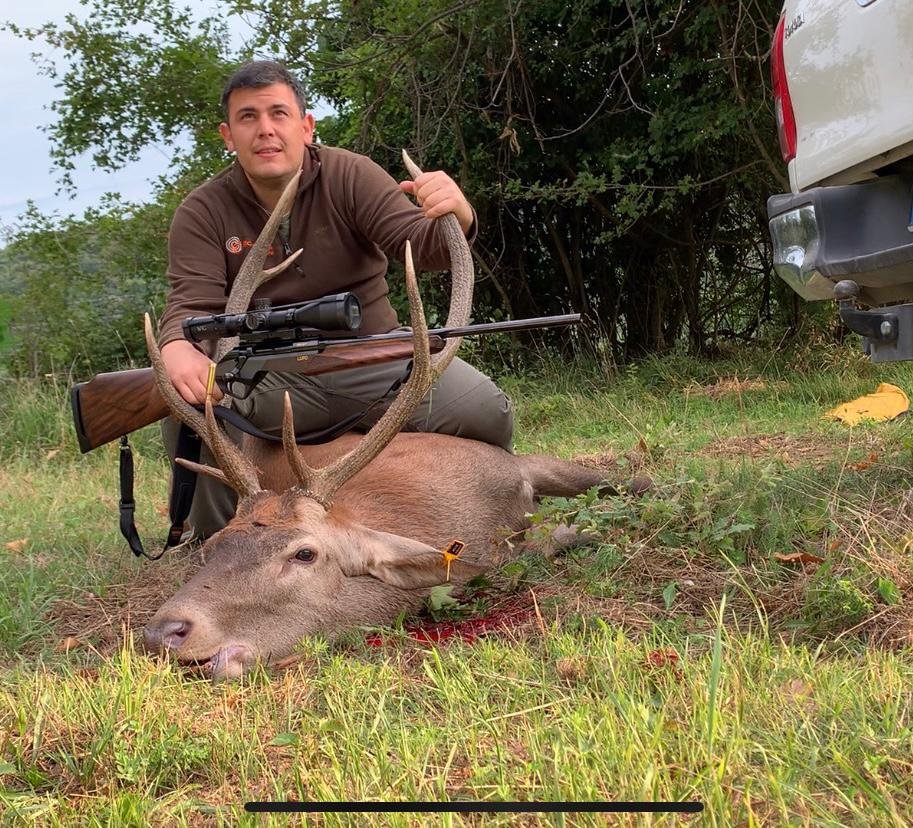 Cervo adulto prima testa con 8x57js