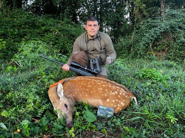 Daina in 8,5x55 Blaser
