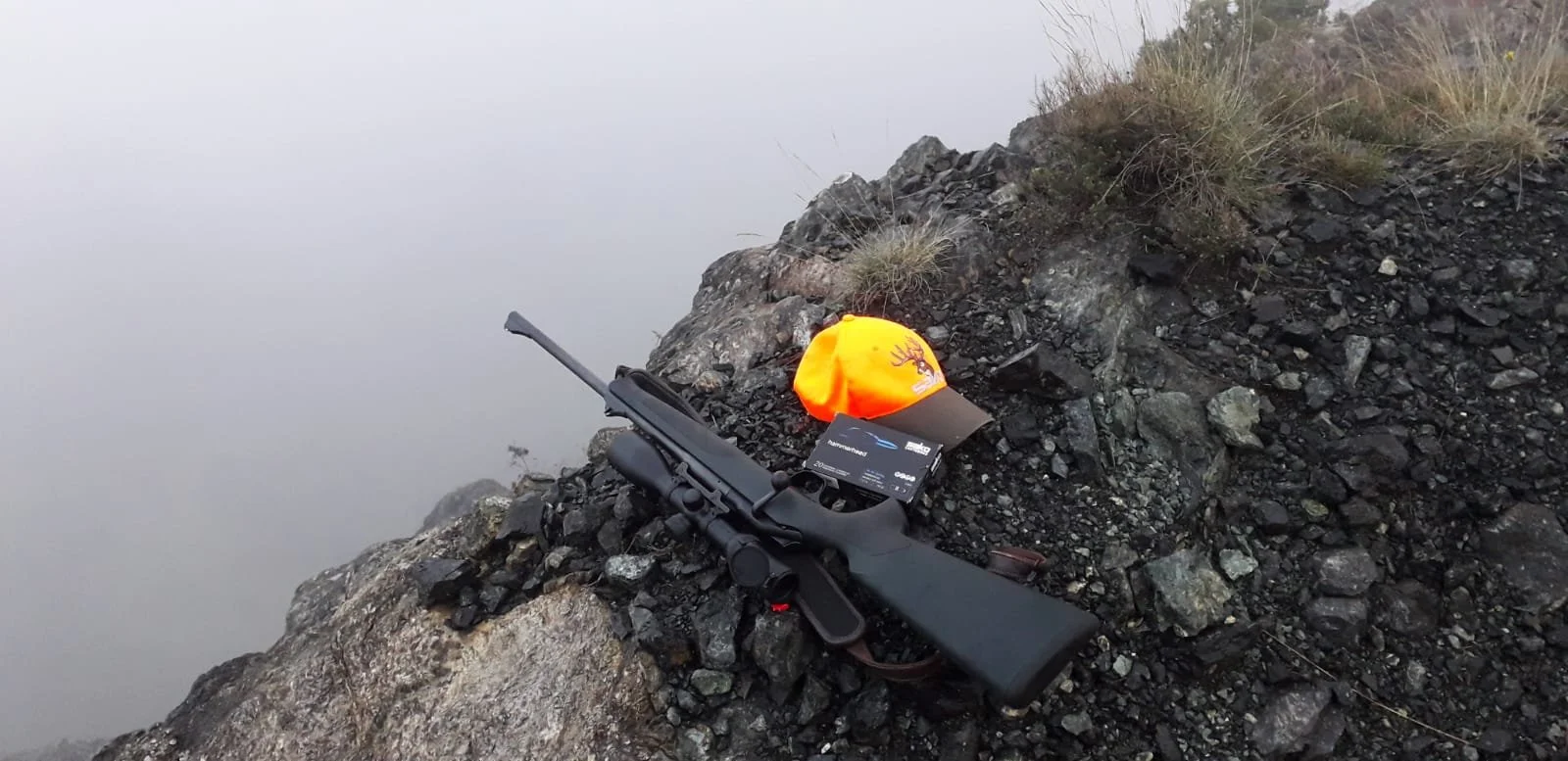 Blaser R8