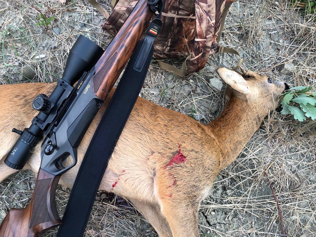 Benelli Lupo Wood 8x57js capriolo a 96m