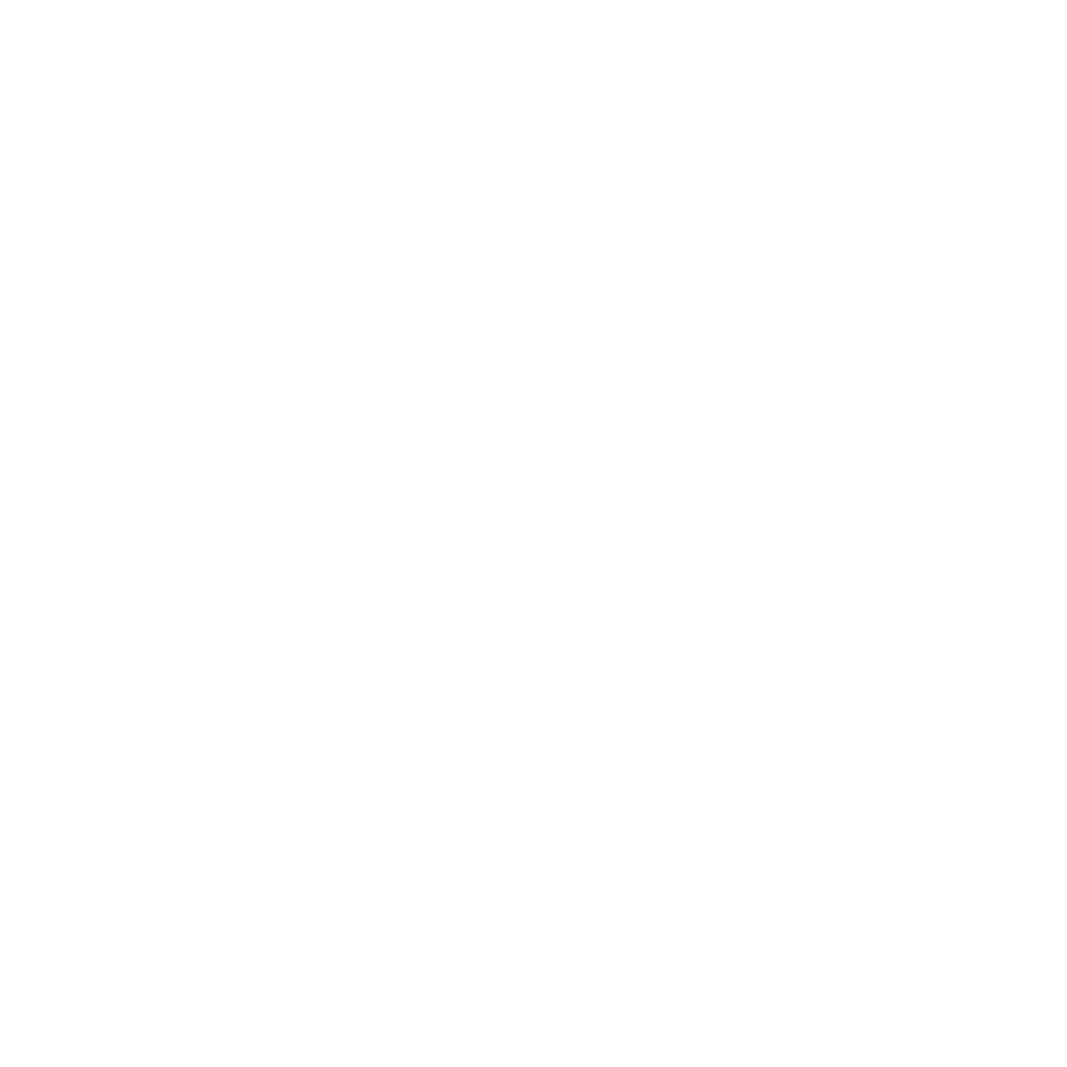 Icon of a crane lifting a box labeled "80 KG" with the text "Your Transport Assistant" below.