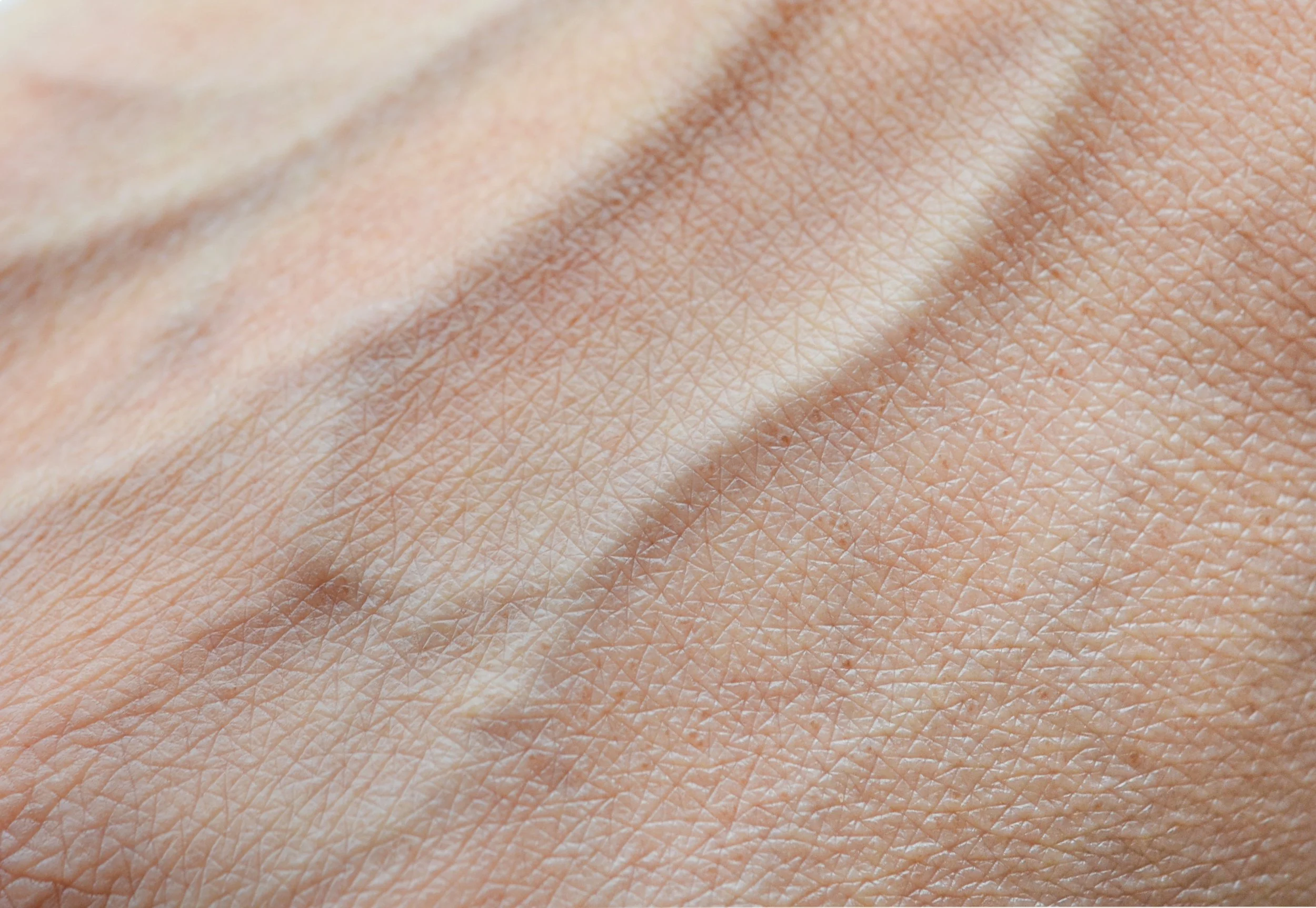 Know Your Routes: Injecting Types &amp; Risks