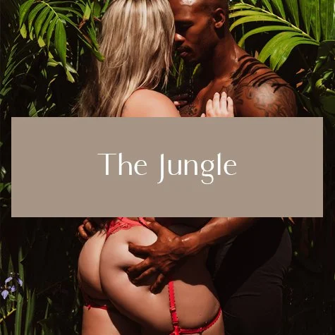Junglemain.jpg