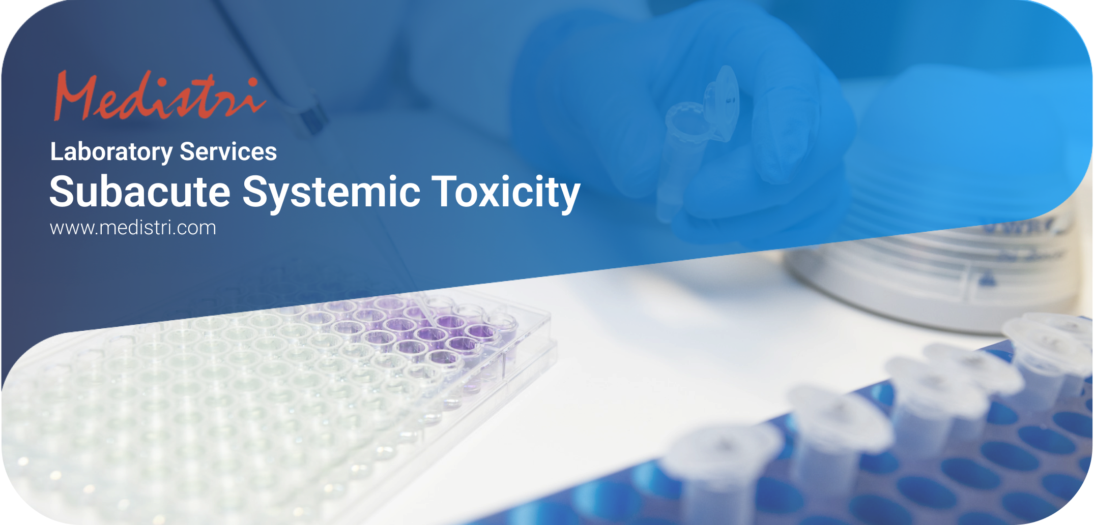 Subacute Systemic Toxicity