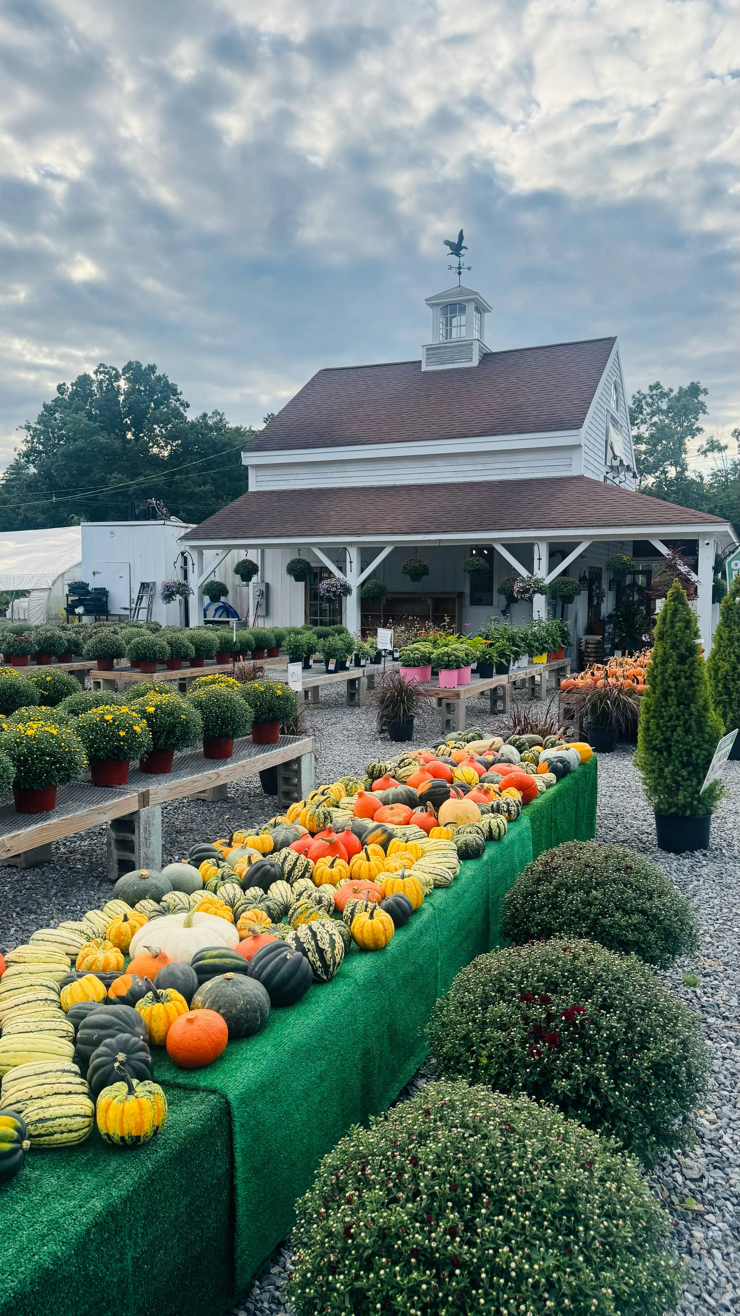 River Dale Farm2.jpg