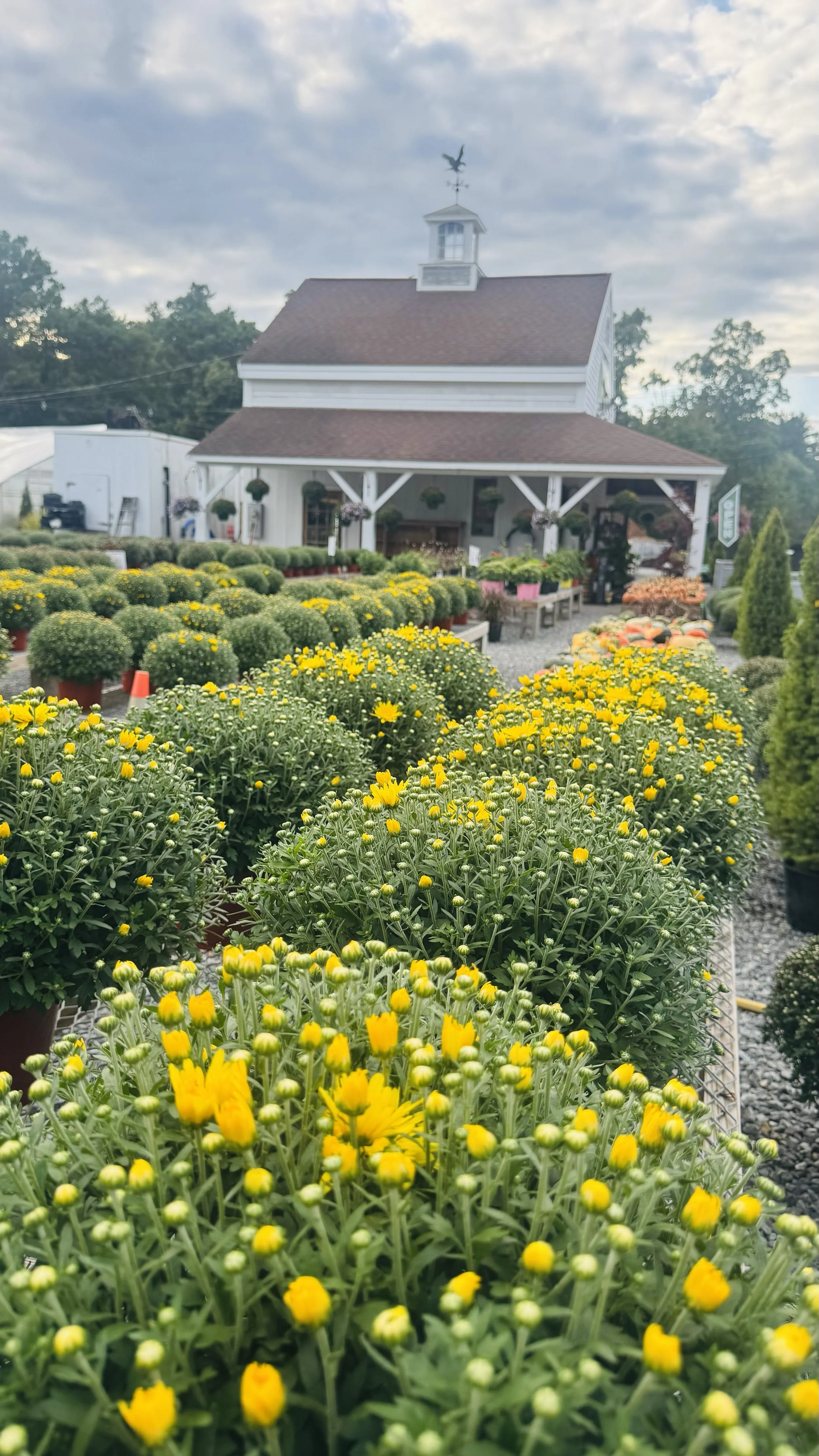 River Dale Farm4.jpg