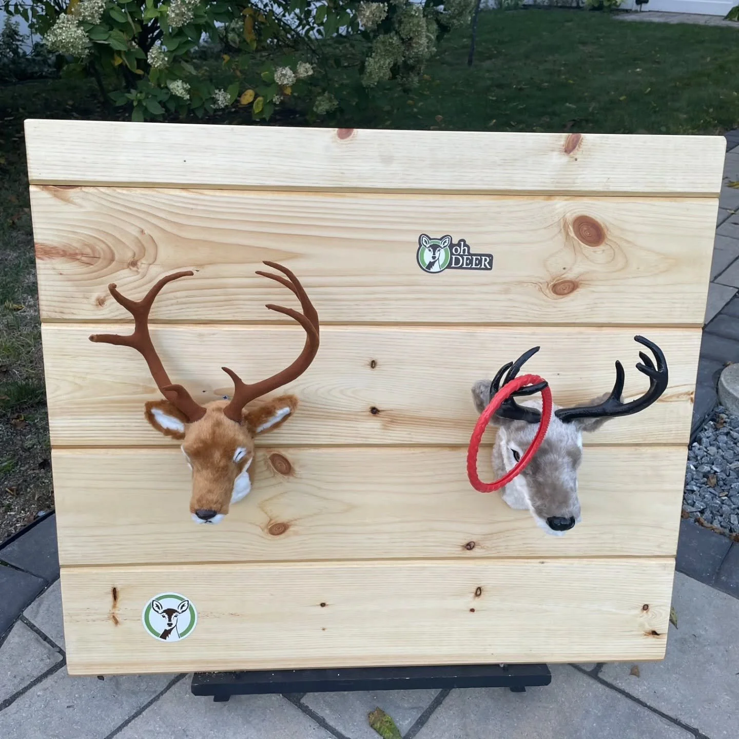 Oh Deer.jpg