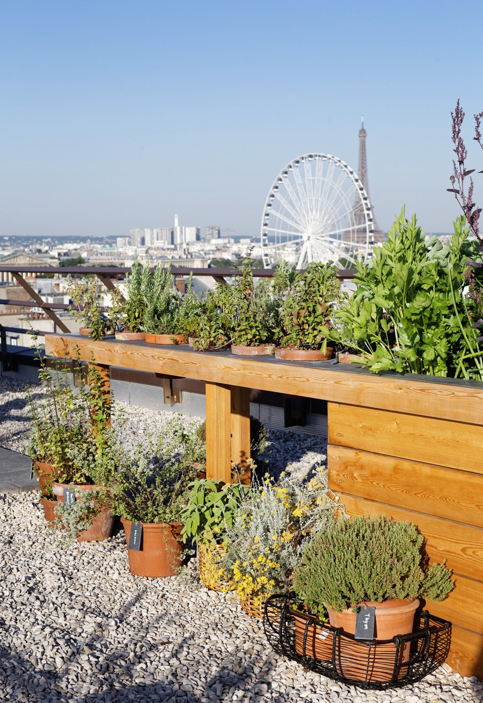 Agence_Christophe_Gautrand_Thierry_Marx_chef_hotel_Mandarin_Paris_Rooftop_Potager 3