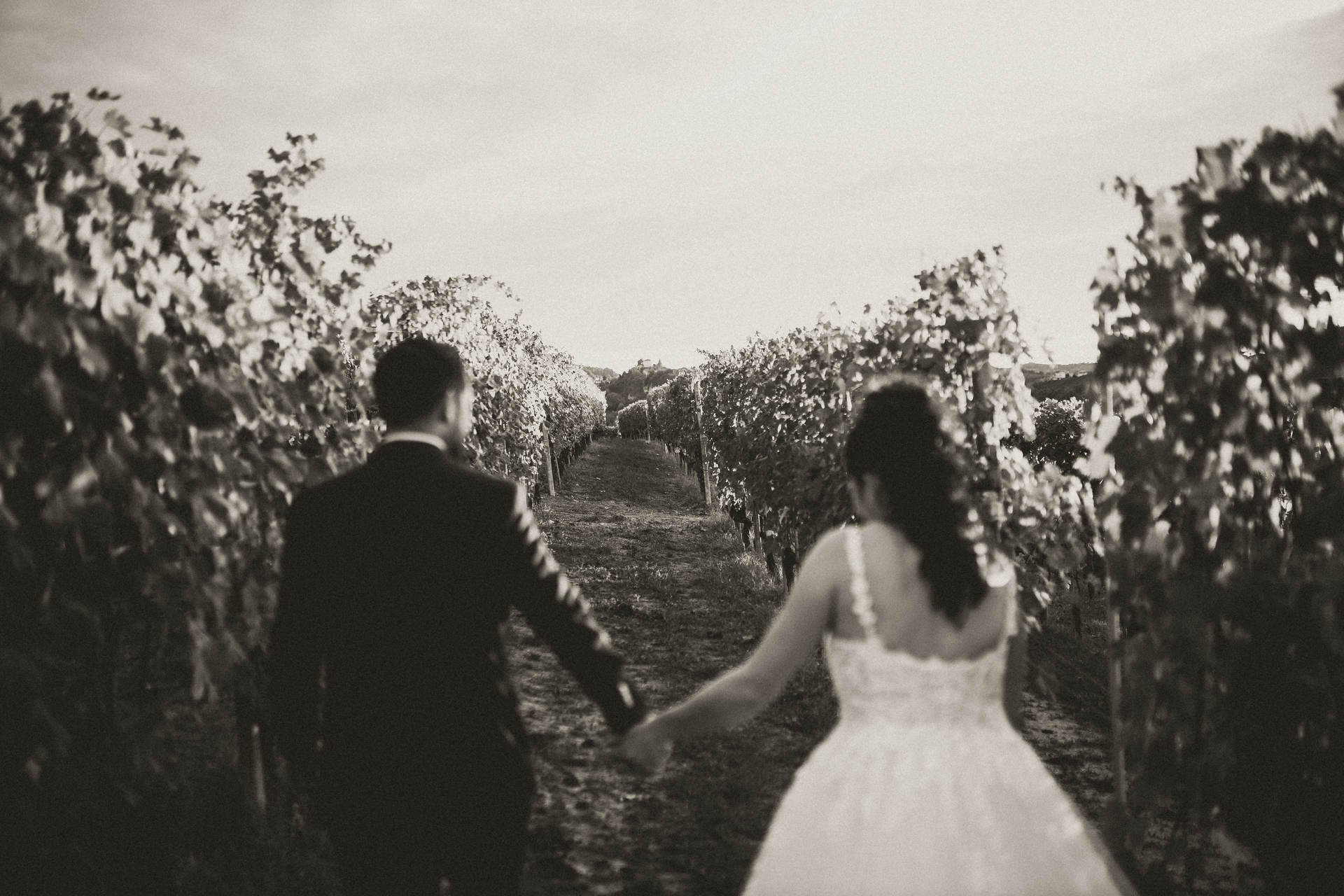 Ein Paar in formeller Kleidung, ein Mann in Anzug und eine Frau in einem weißen Kleid, hält Händchen auf einem Weinbergweg bei Sonnenuntergang.