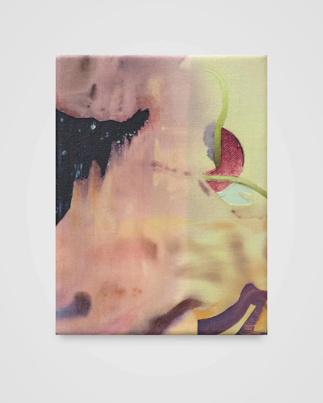 Overview Effect, acrylic and oil on canvas and sheer fabric, 6 x 8 in. $420