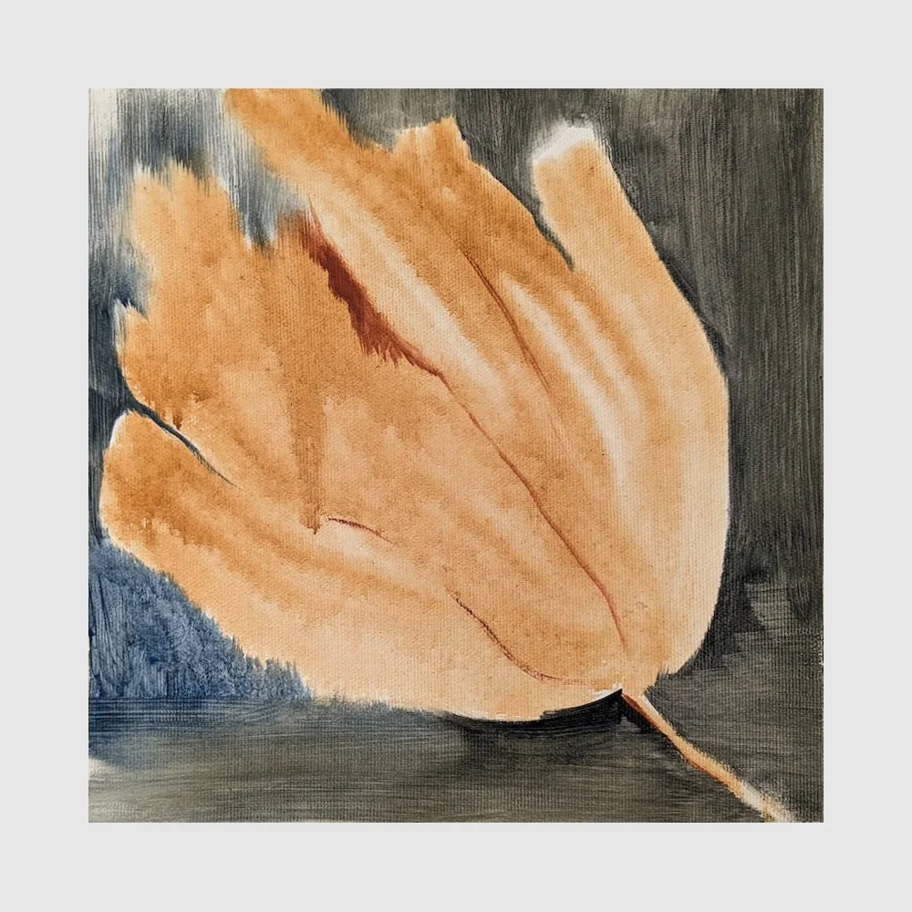 Dried Flower Study, oil on unstretched canvas,  7.75 x 8 in, 2019 - $195