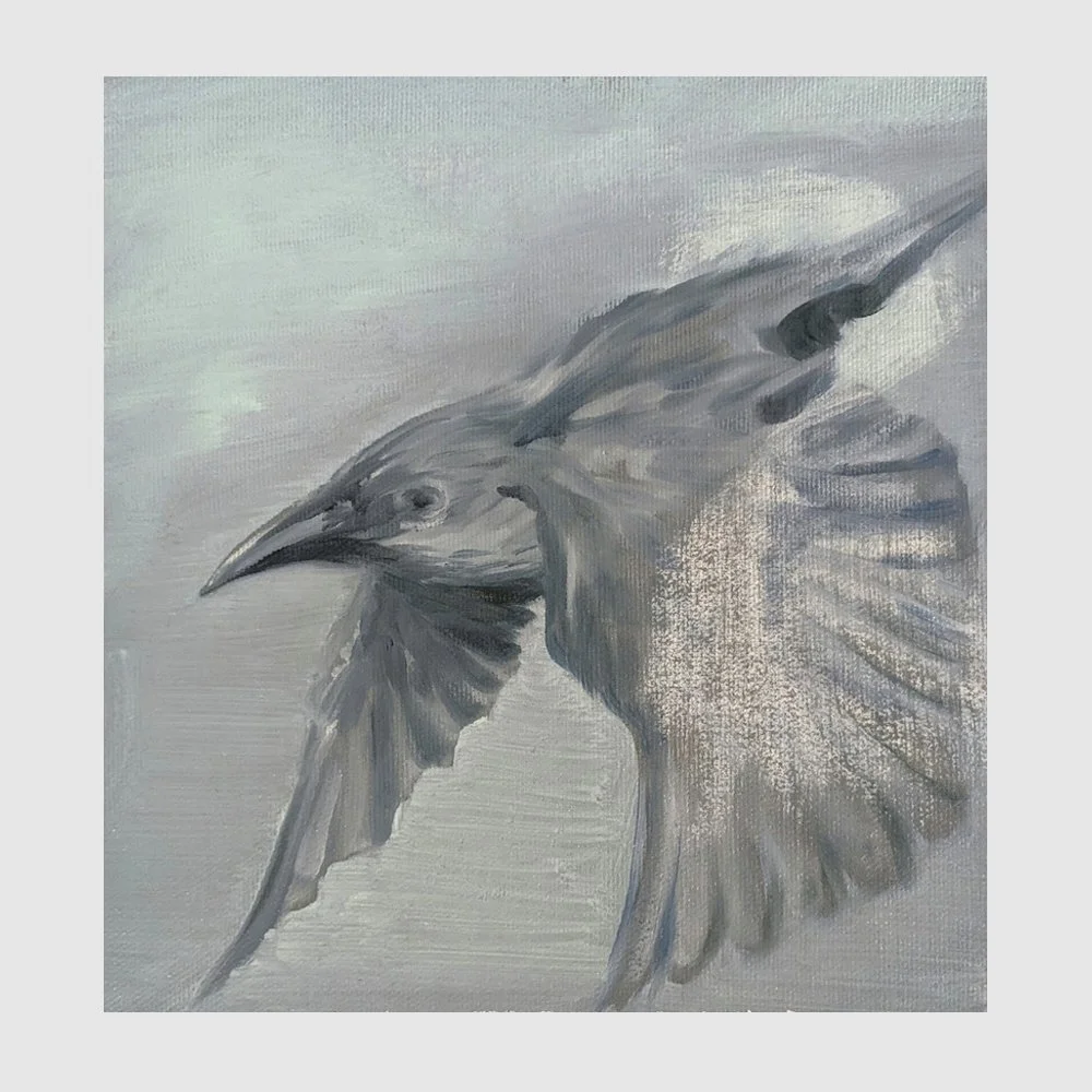 Bird Study (Grey Blue), oil on unstretched canvas,  7 x 7.25 in, 2019 - $180