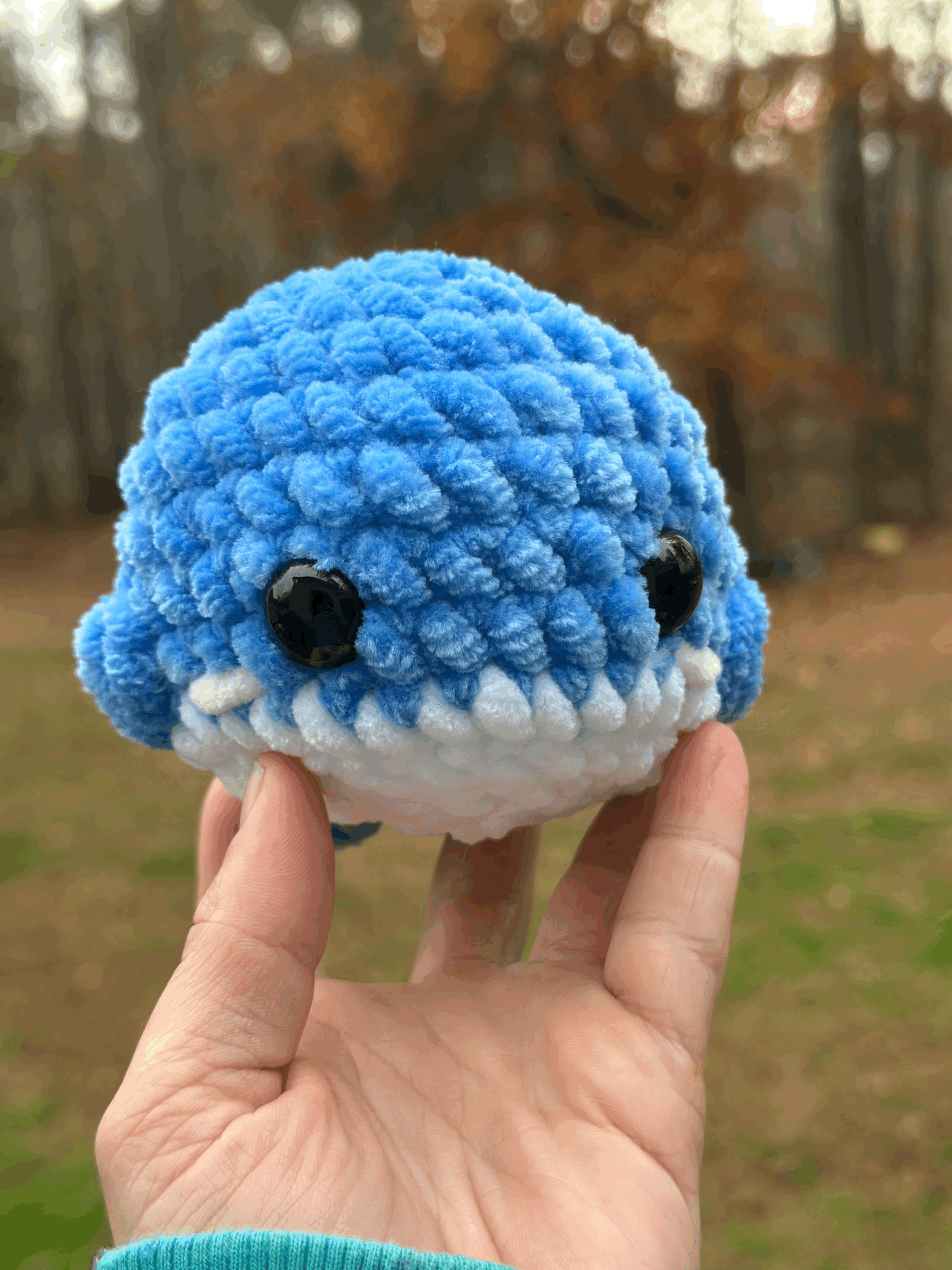 tempImagesg8gqW.gif