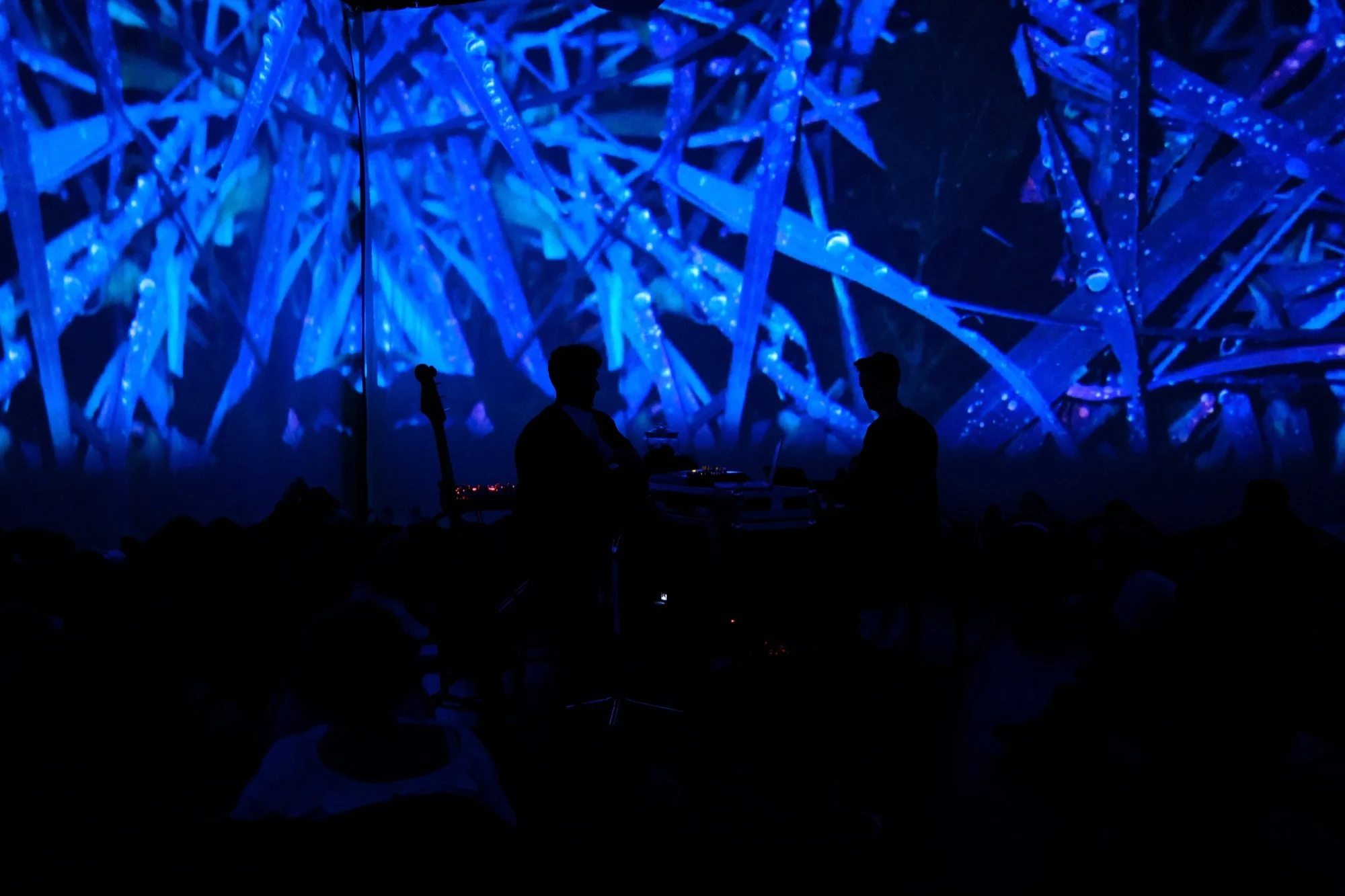 DSCF5263.jpg