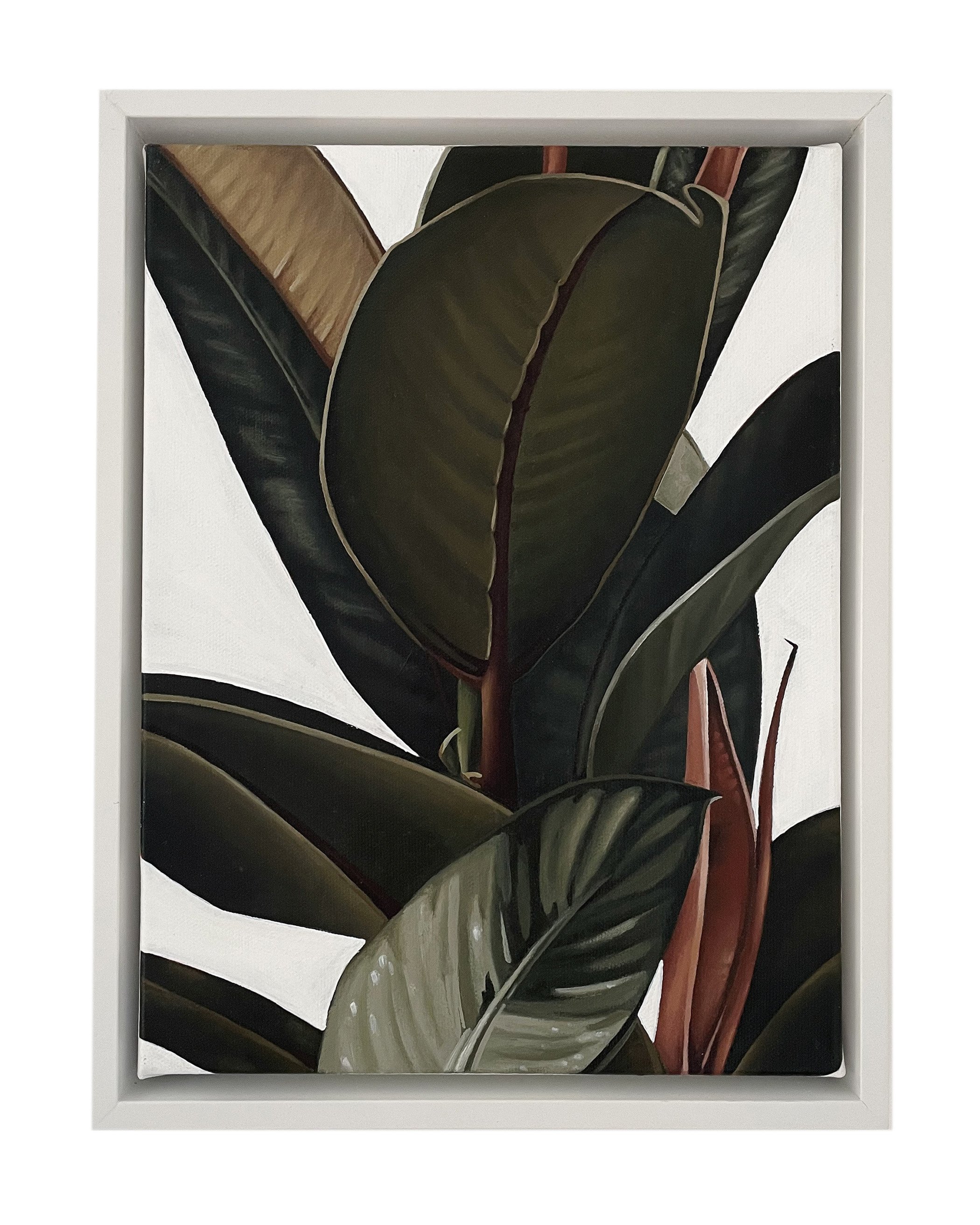 KKS_Plant Palette_5.5.jpg