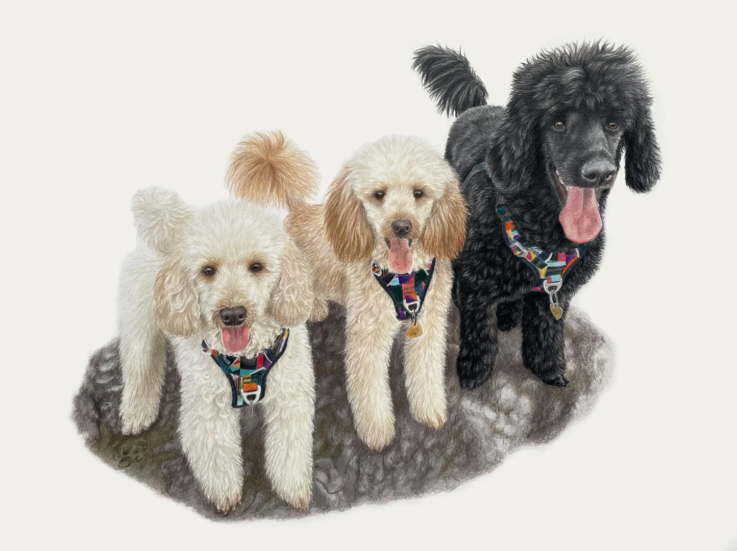 three poodles.jpg
