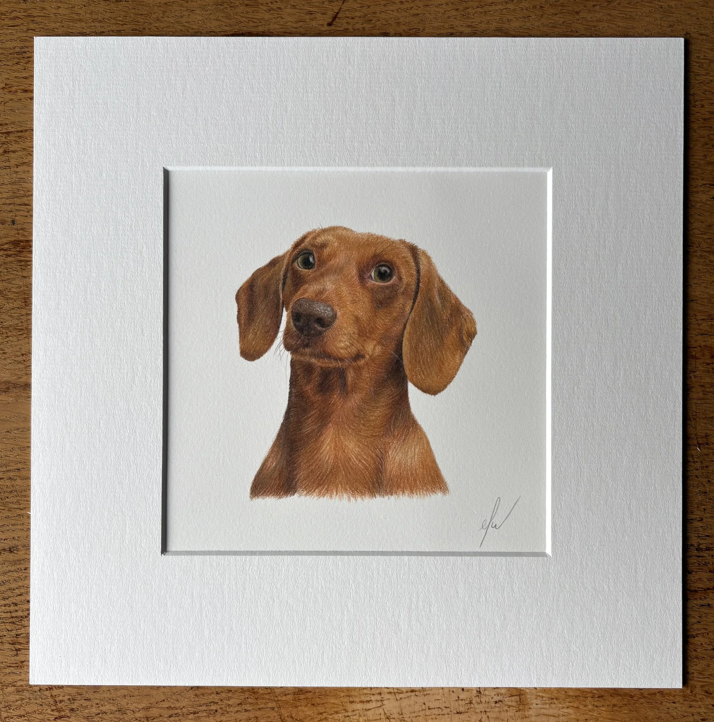 Sausage Dog - Brown