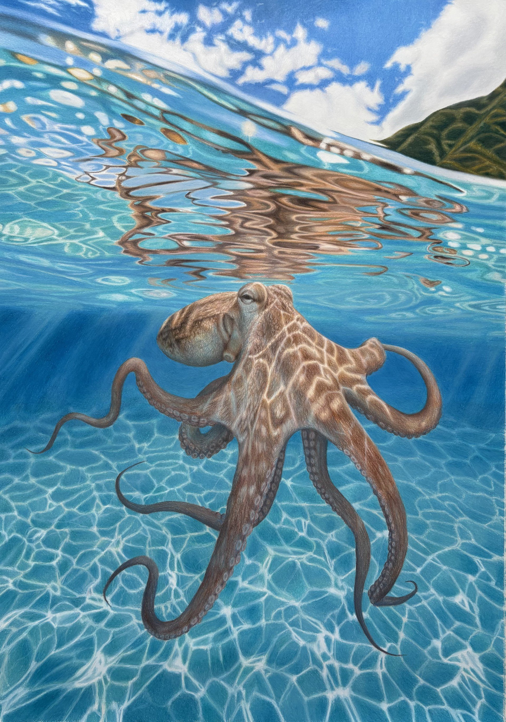 octopus finished.jfif