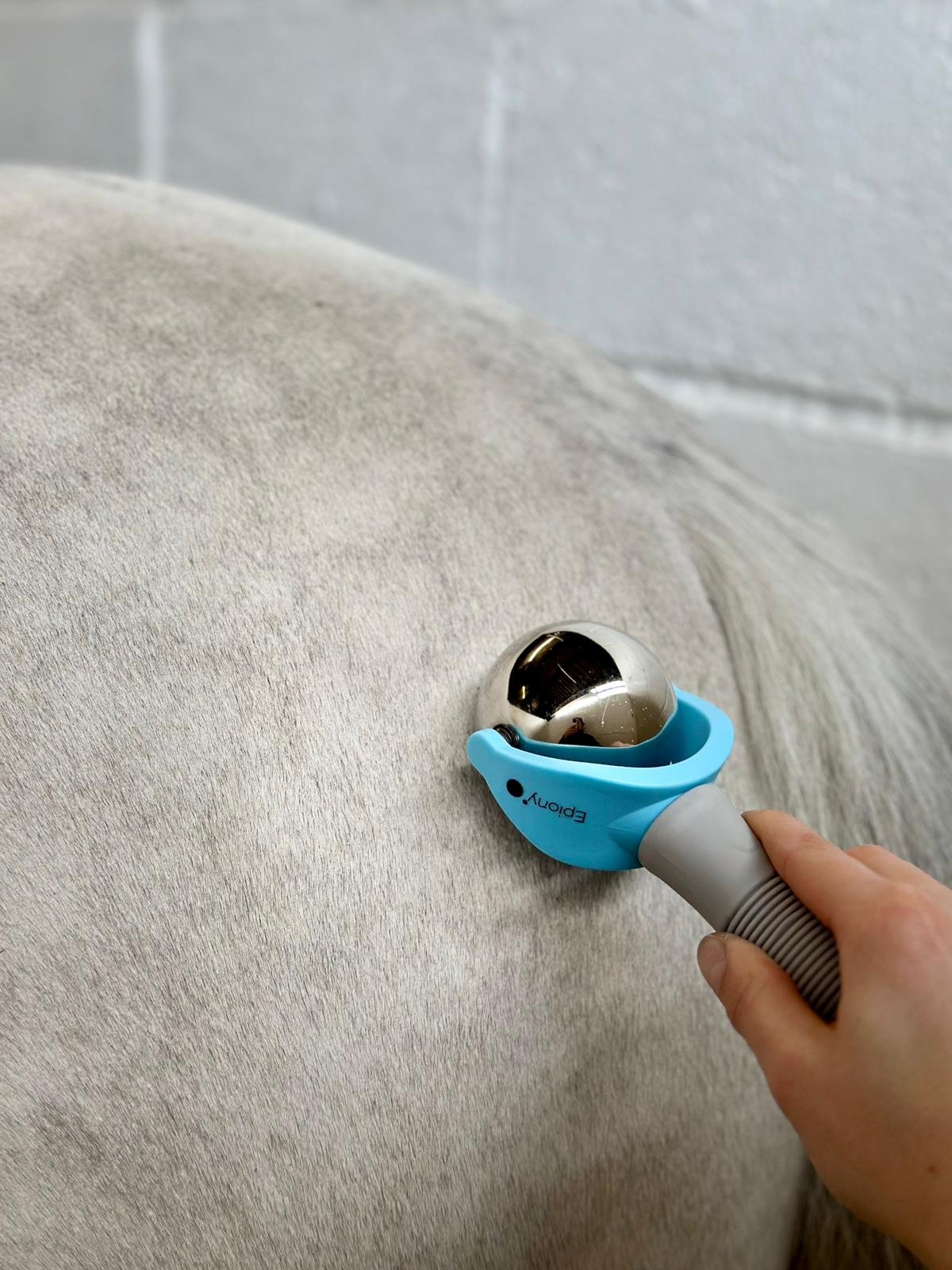 Horse massage ball