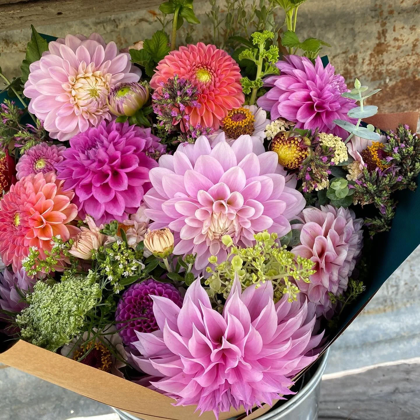 An 80th Birthday bunch between all the flooding rain, thank goodness for some sunshine yesterday afternoon to pick flowers before more rain. 

Featuring; our second year seedling, Lileah Mailman, L.A.T.E, Florelie Hayley, Vintage Wine, Daphne, Winkie
