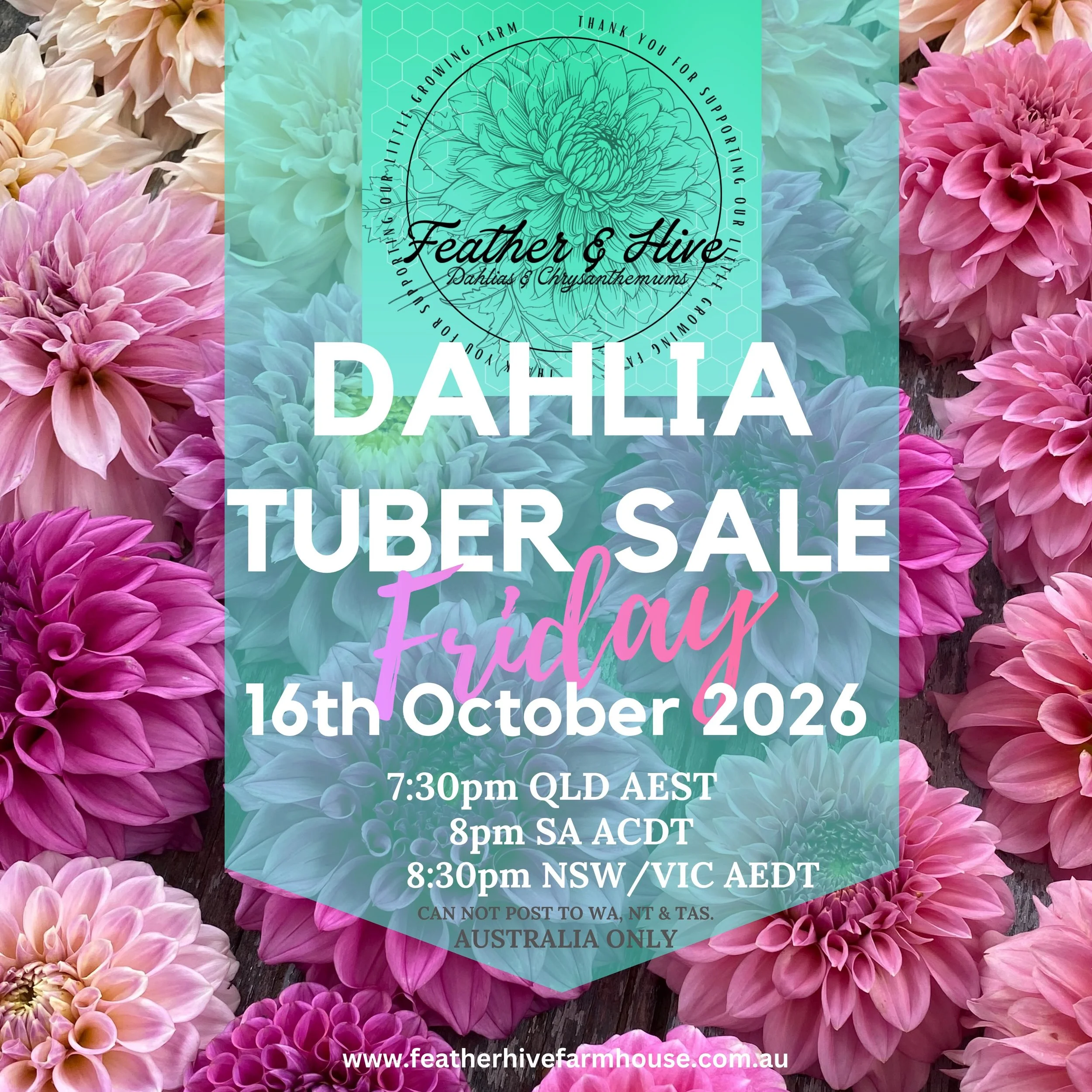 The start date is set for our first release of dahlia tubers. 
FRIDAY 16TH OCTOBER

AUSTRALIA ONLY Posting to Queensland, New South Wales, Victoria &amp; South Australia 

I have made a page on the website where the &lsquo;in stock&rsquo; varieties w