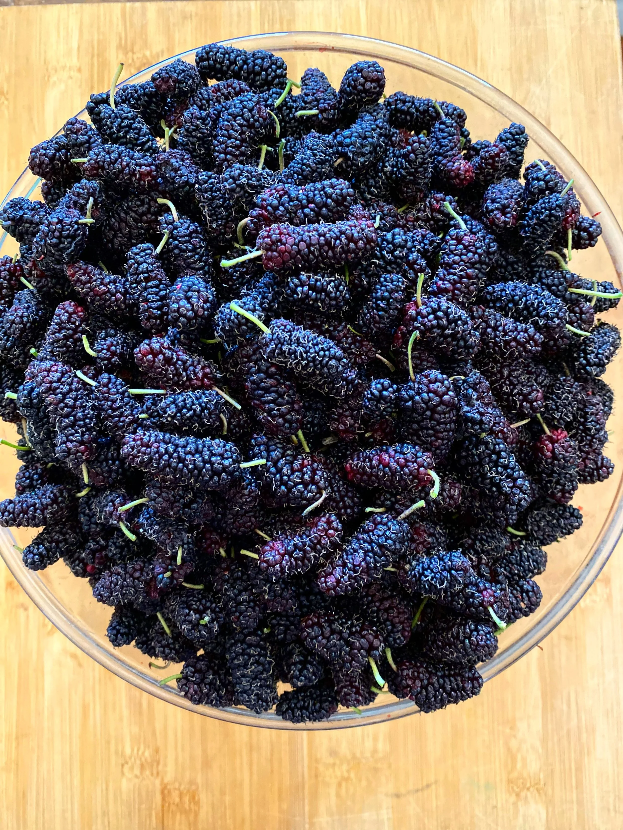 Mulberries coming in daily 🤤
