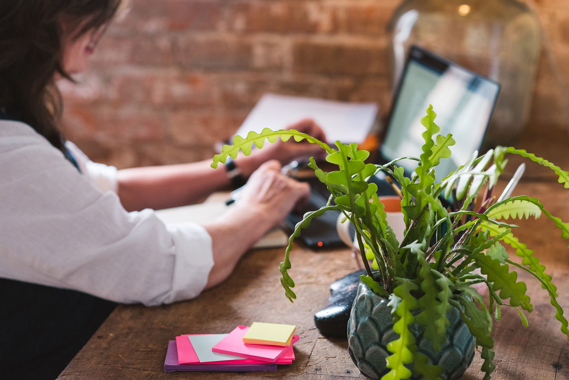 A professional scene of a desk. Jane Willis sits at her laptop in the background, and in the foreground a plant and post-it notes are on display