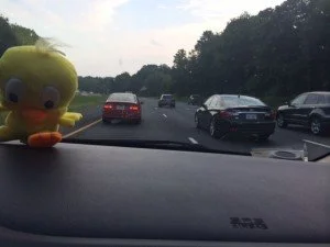 Happy Tweety picture