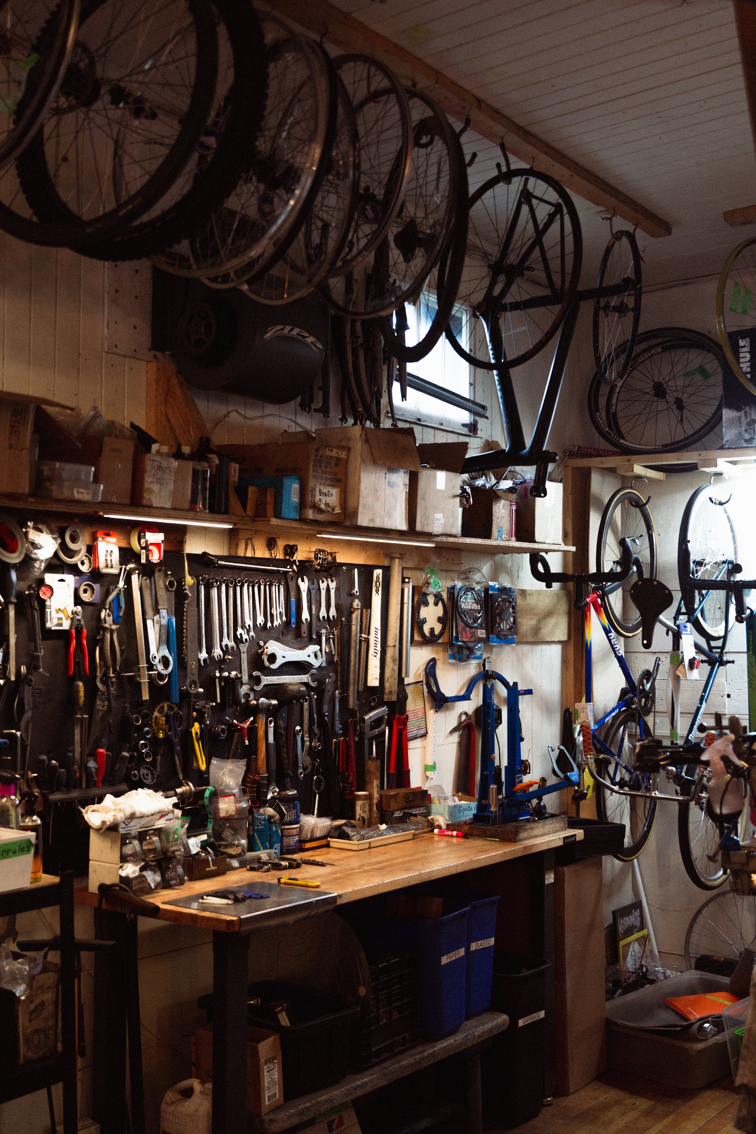 Velo_Shop-2.jpg