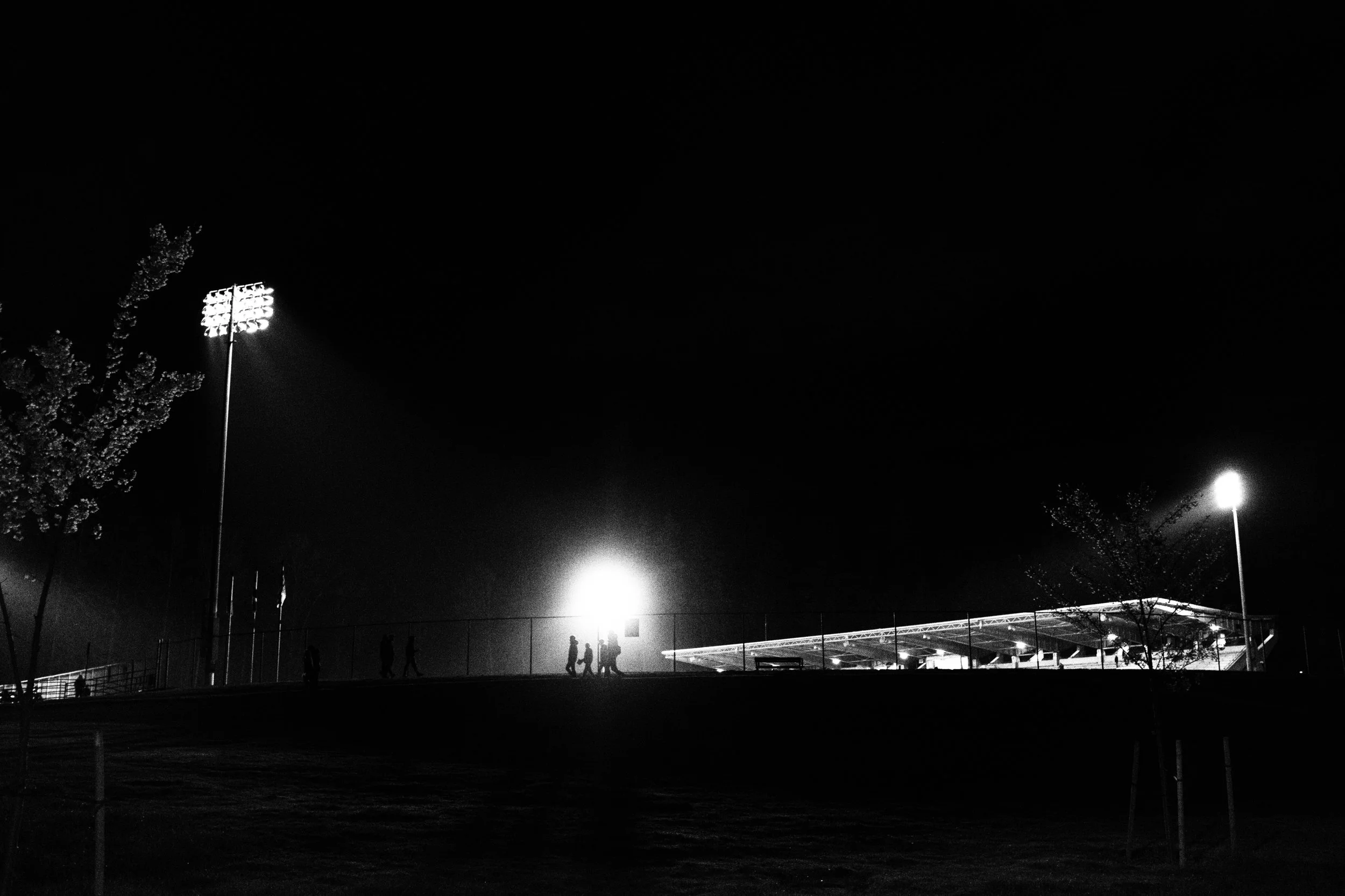 DSCF6993.jpg