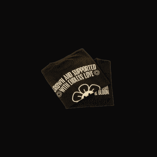 teasershirt2.gif