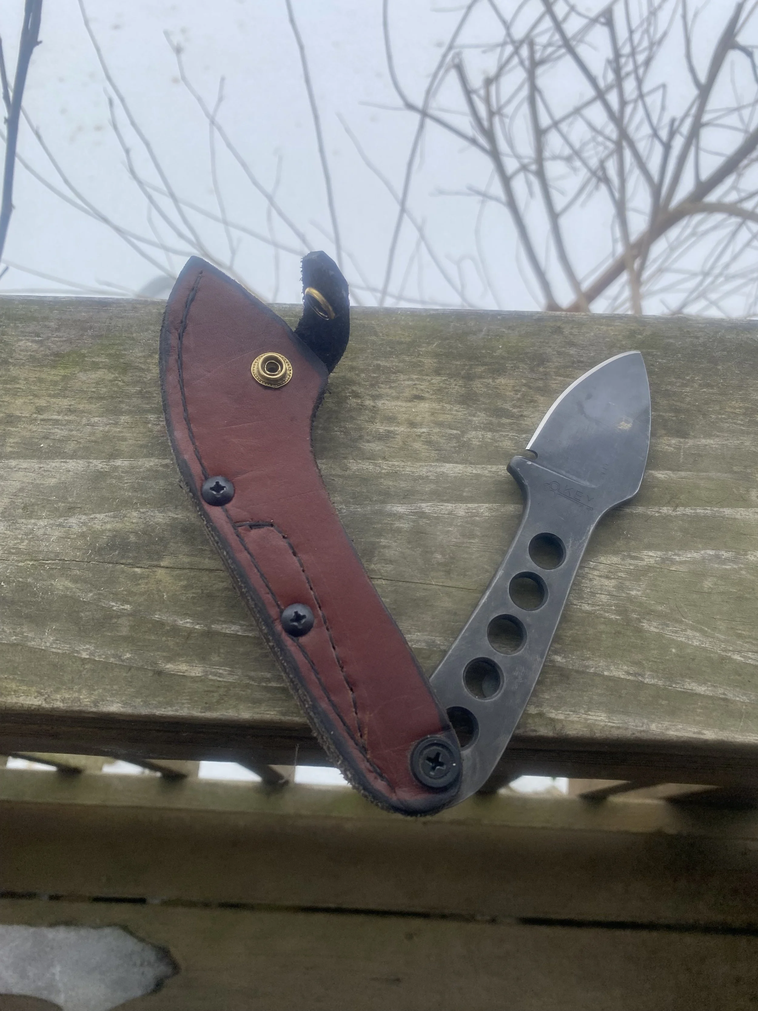Fixed Blade Folder