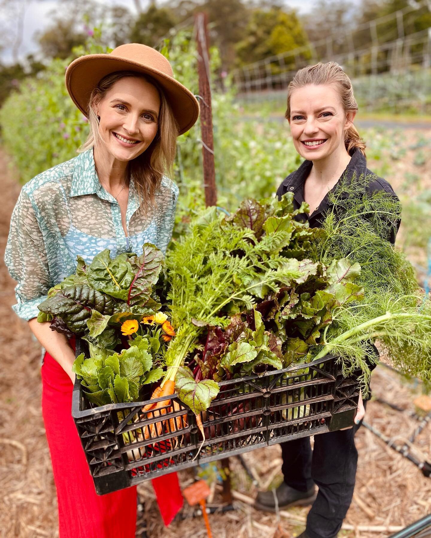 Look Mum! We&rsquo;re gonna be on TV! 🤩

That time we took @kimberleybusteed and the @weekender_tv crew for a tour at the farm and then lunch at the pub, veggie box in tow. 

We&rsquo;re looking forward to catching the episode this afternoon at 530p