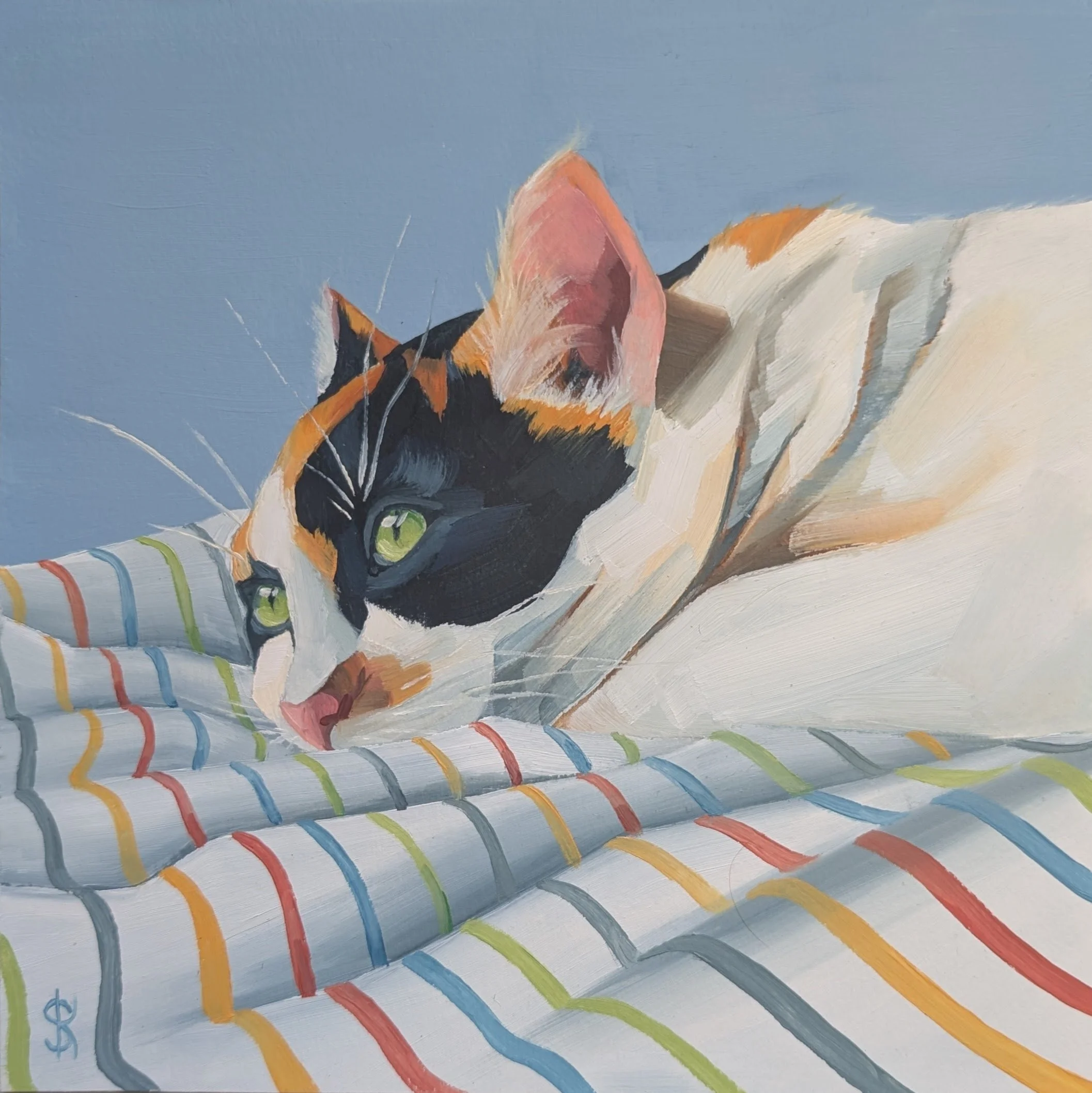 Pet Portrait commission an oil painting of a pet cat 