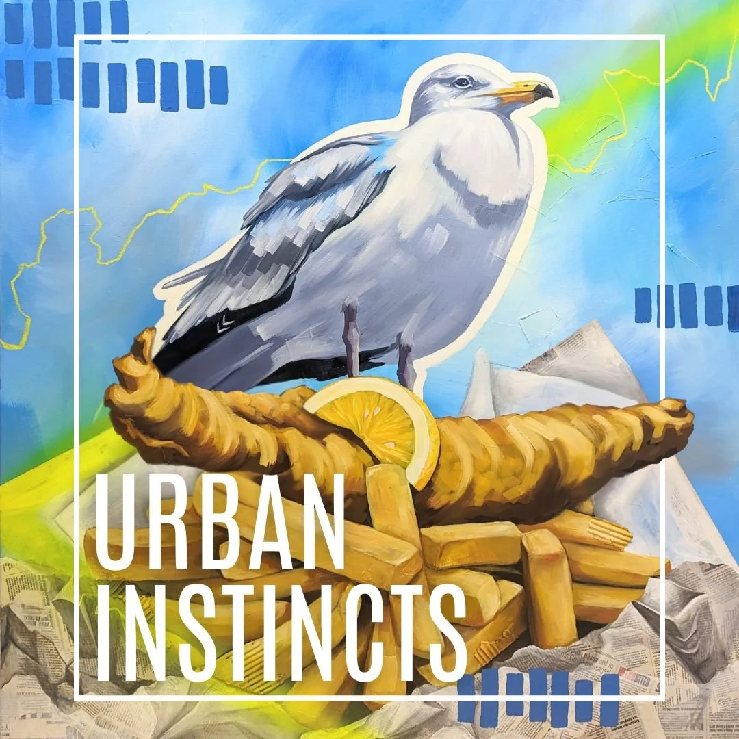 Urban Instincts, my first solo exhibition