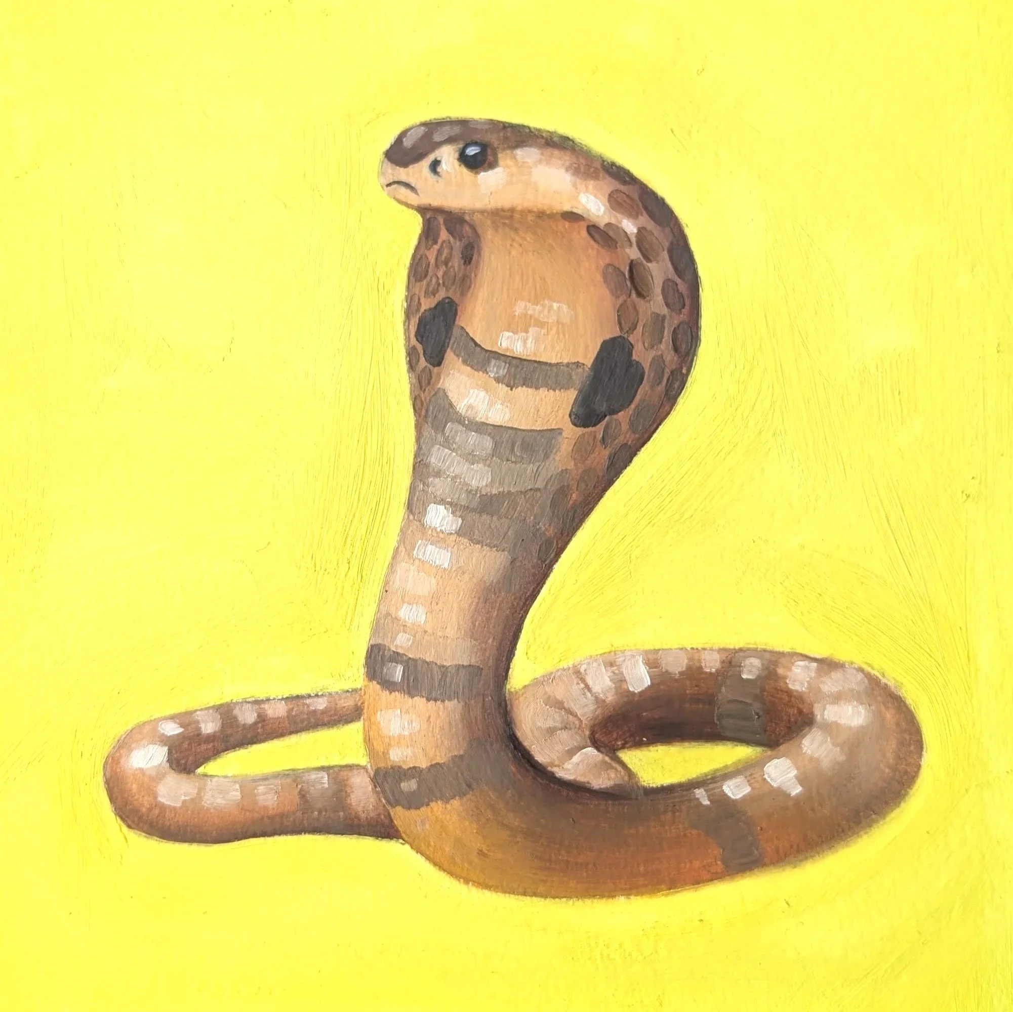 Hiss and Tell