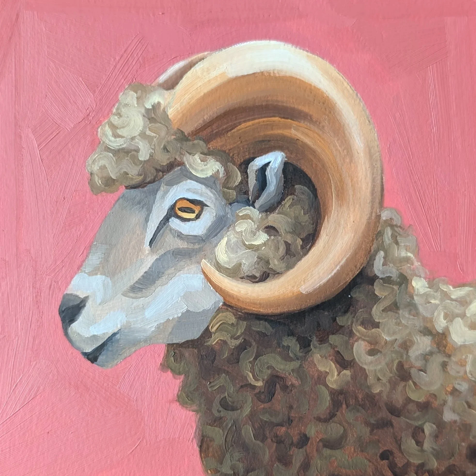 No Ewe-Turn