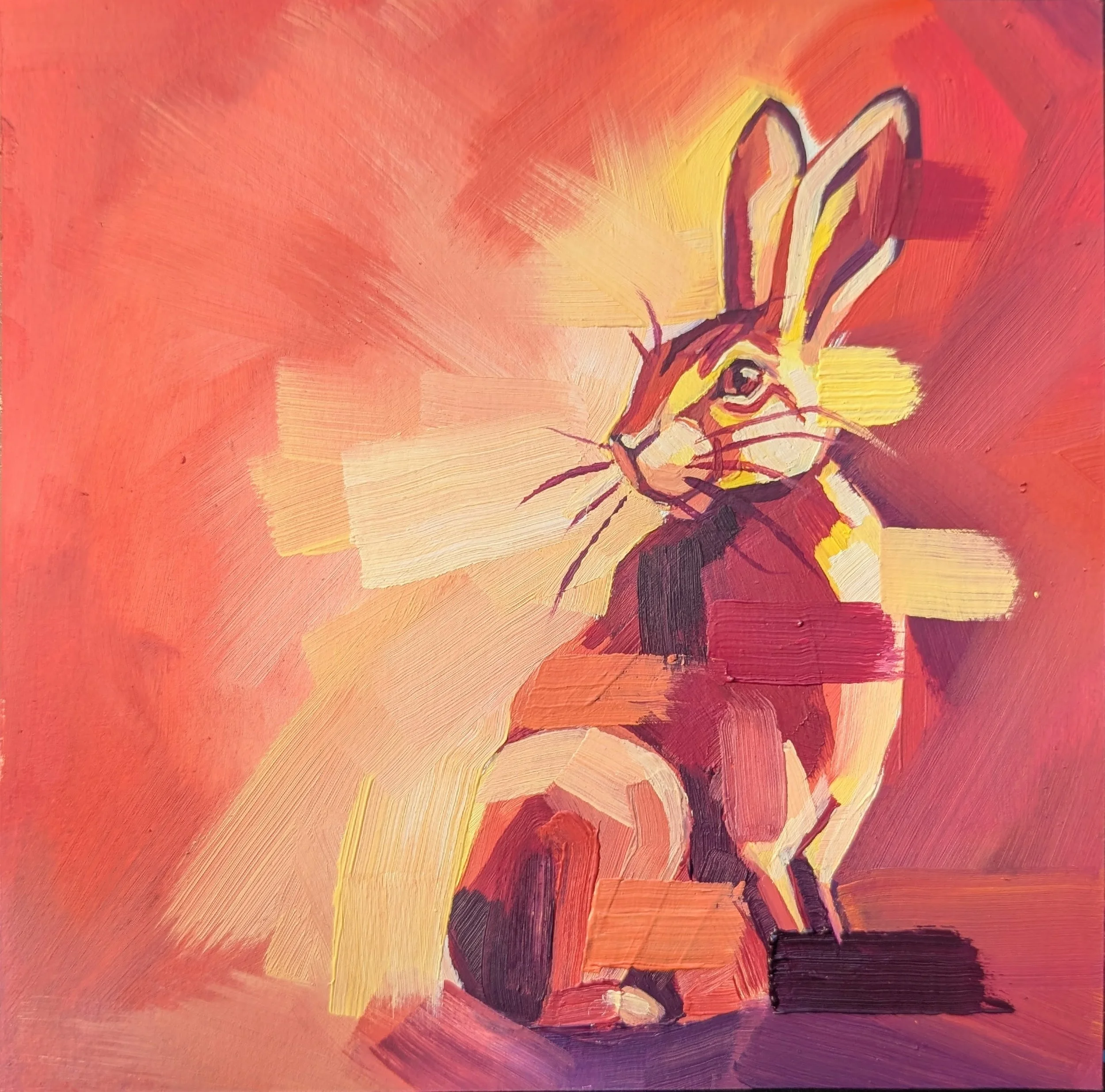 Hare today, gone tomorrow