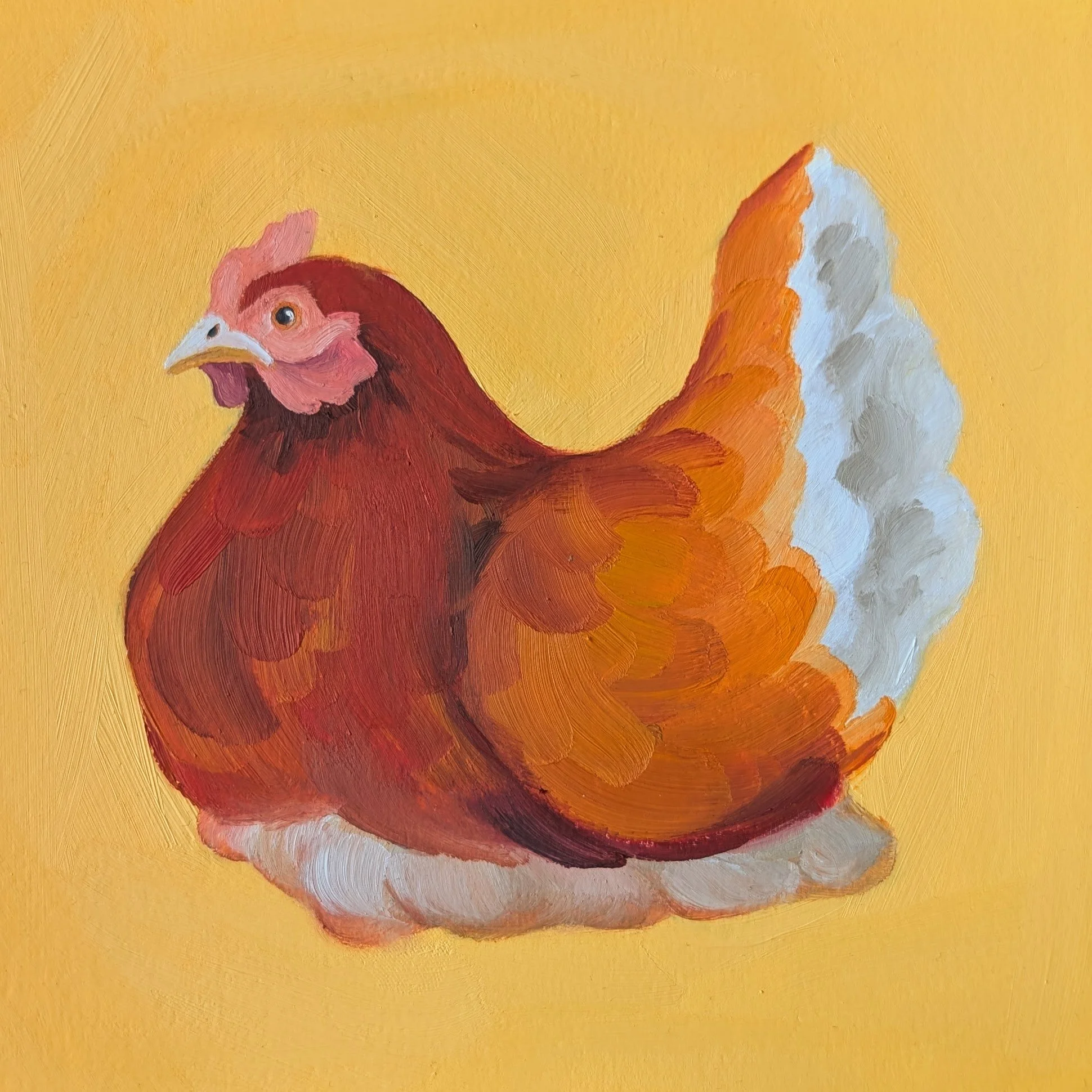 Pecking Order