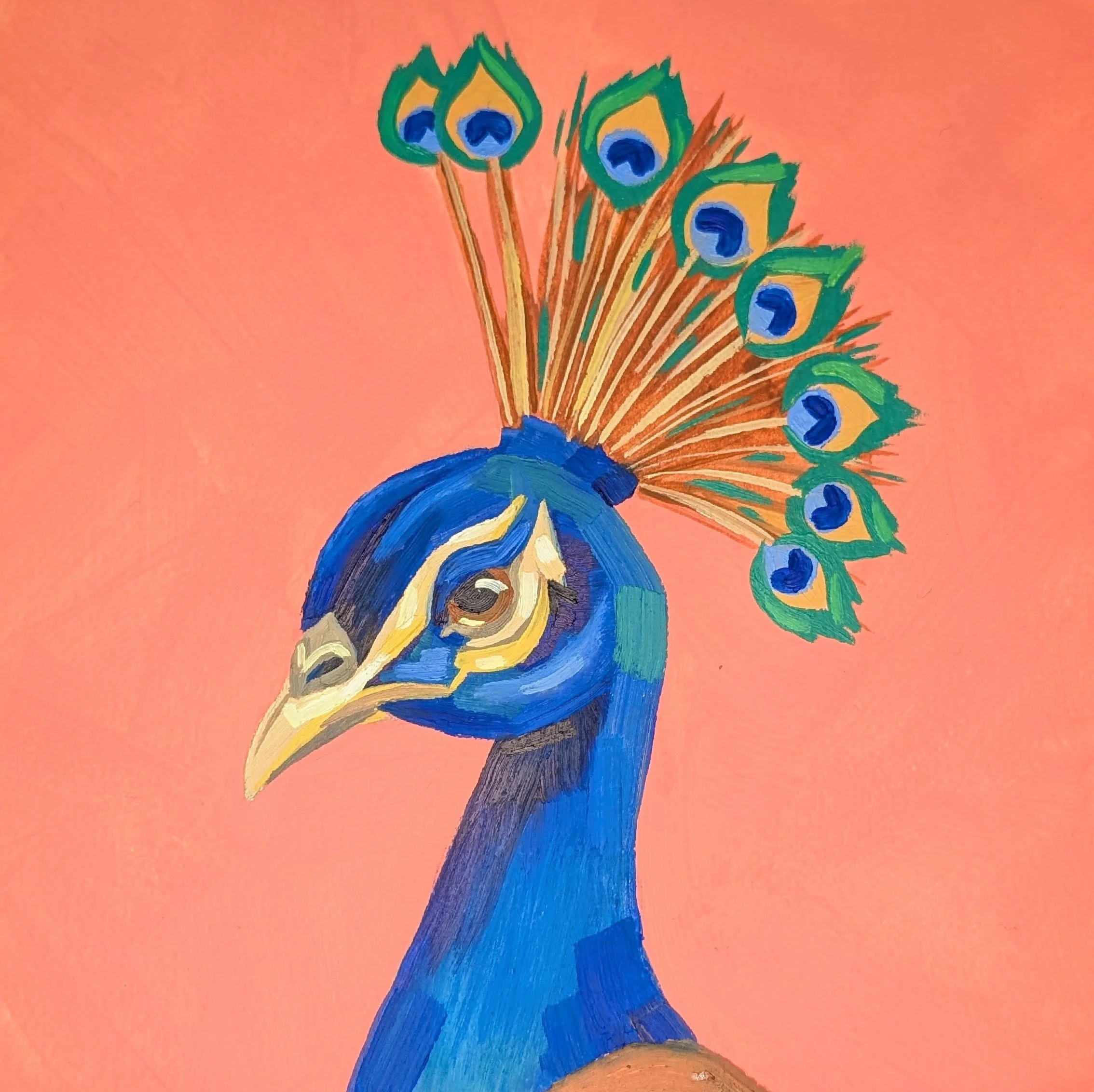 Shake a tail feather