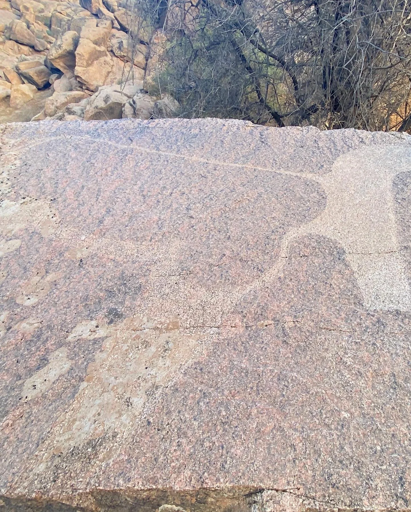 Tafraout -Vallée Ait mansour, Carved Gazelle