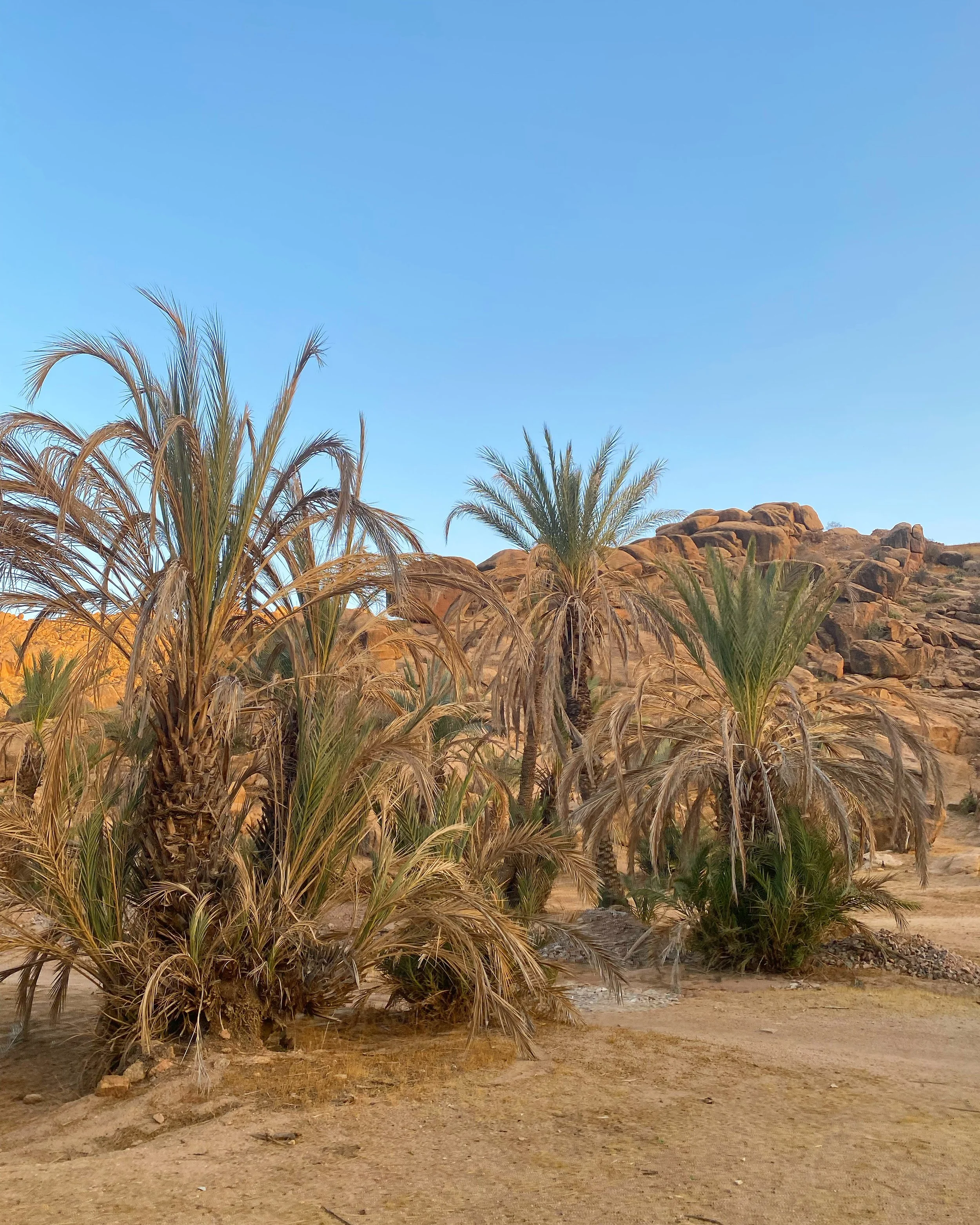 Tafraout -Vallée Ait mansour